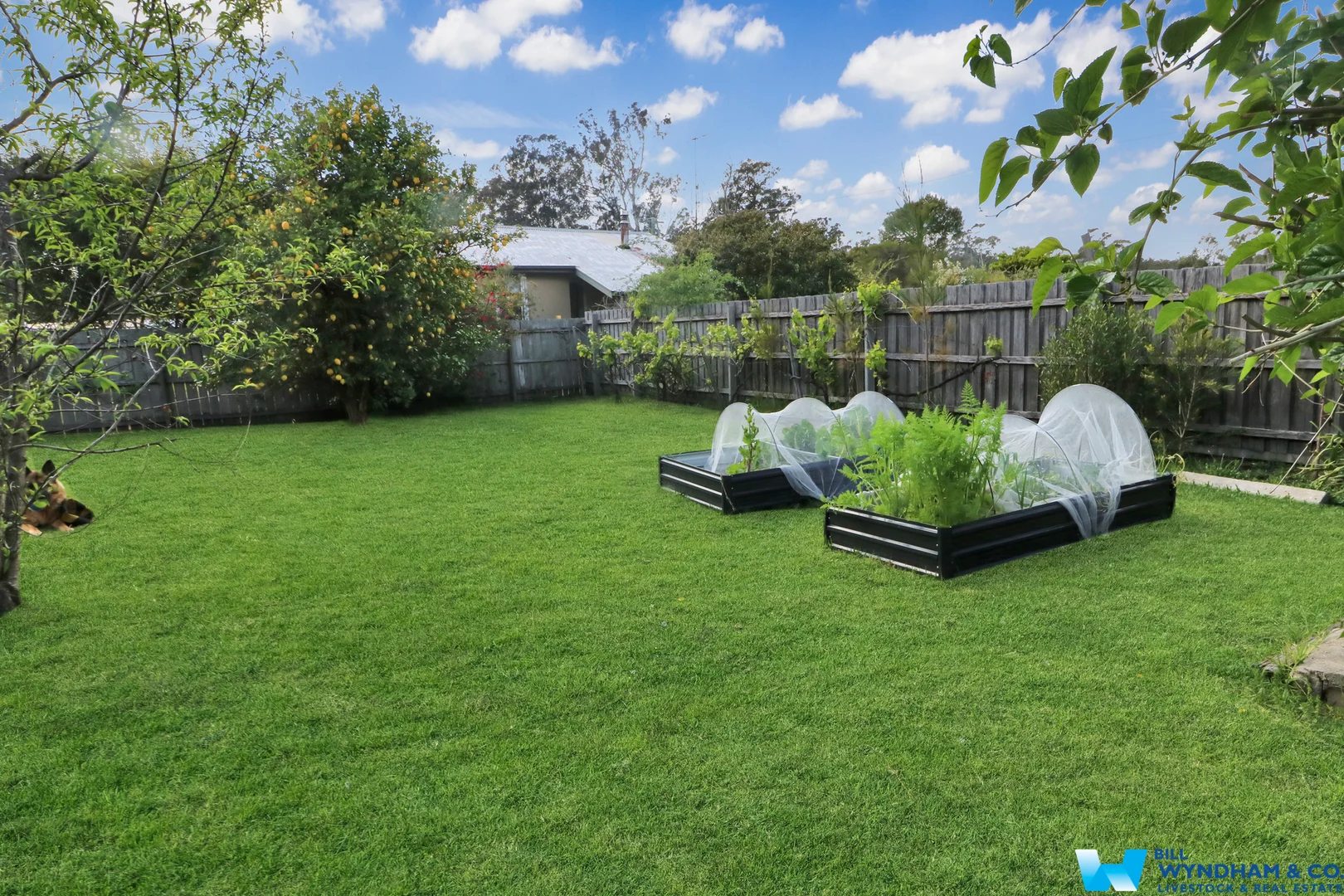 Additional image 14 of 4 Baum Street, Cann River VIC 3890