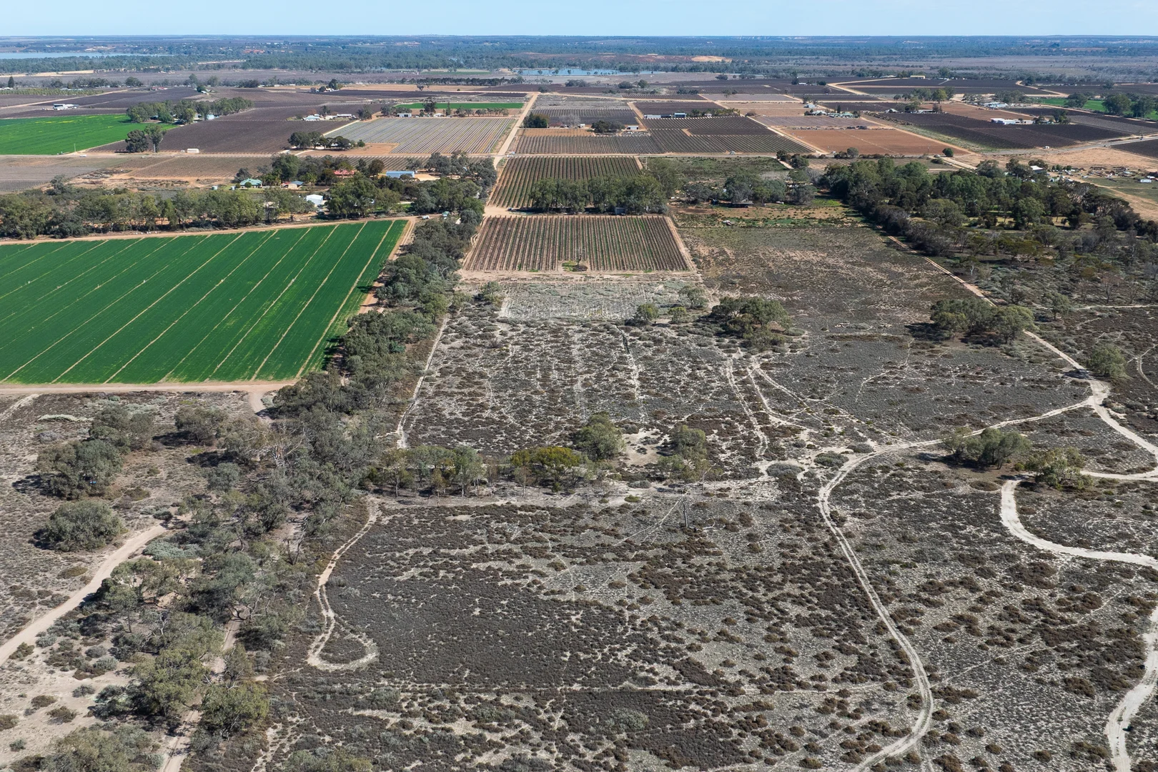 Additional image 6 of Lot 12 Dansie Road, Barmera SA 5345