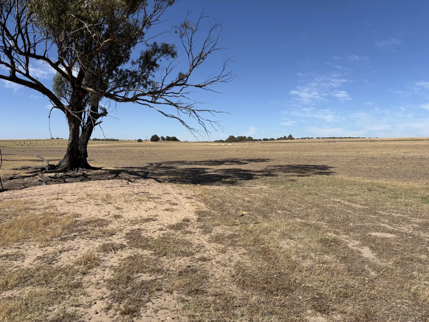 Additional image 19 of . 'Cobbers Soak', Quairading WA 6383