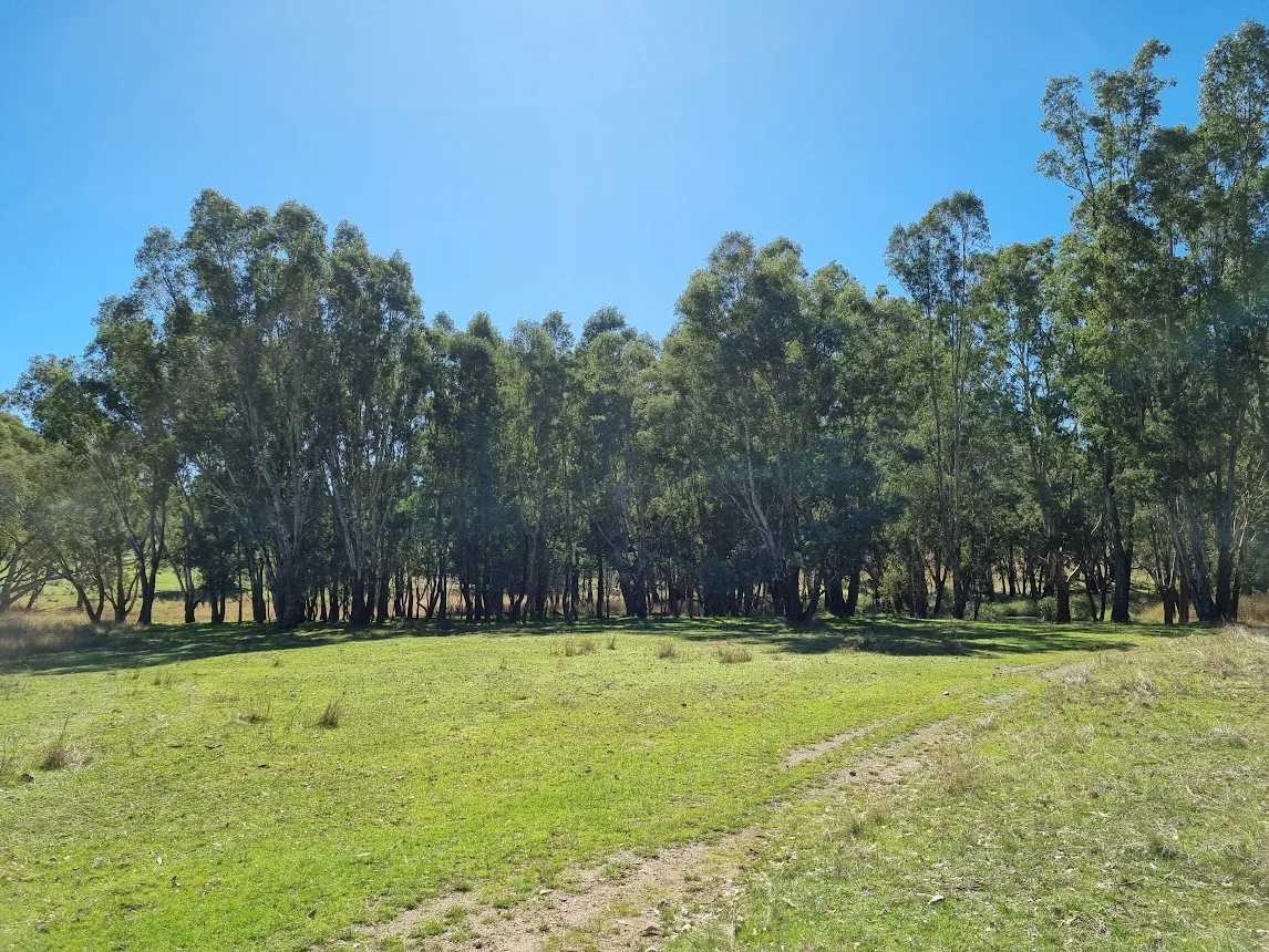 Additional image 27 of 20 Rosedale Road, Gundagai NSW 2722