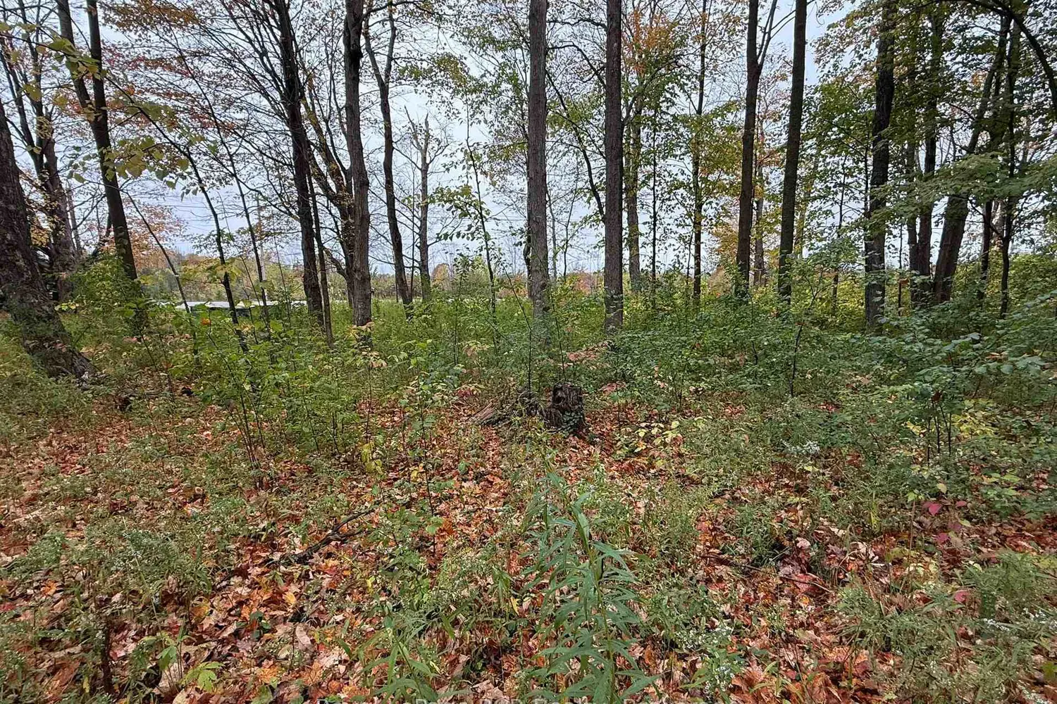 Additional image 15 of Lot 8 Green Acres Road