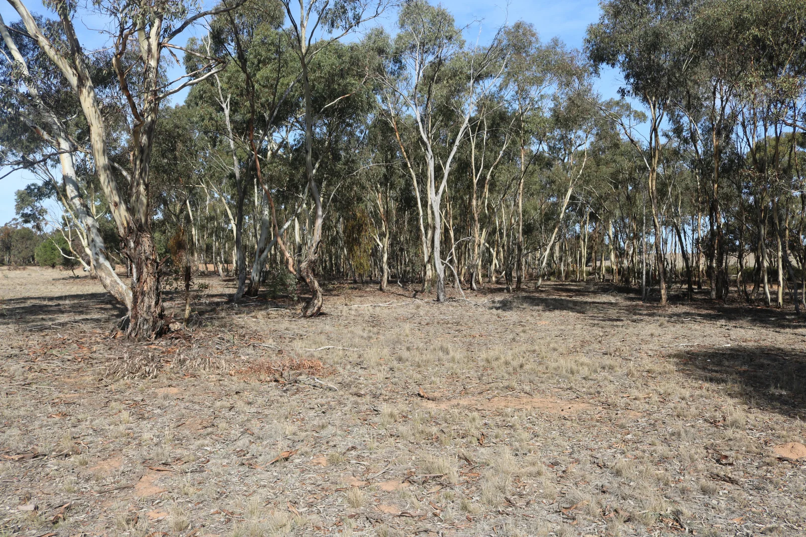 Additional image 13 of Old Boort Road, Wedderburn VIC 3518