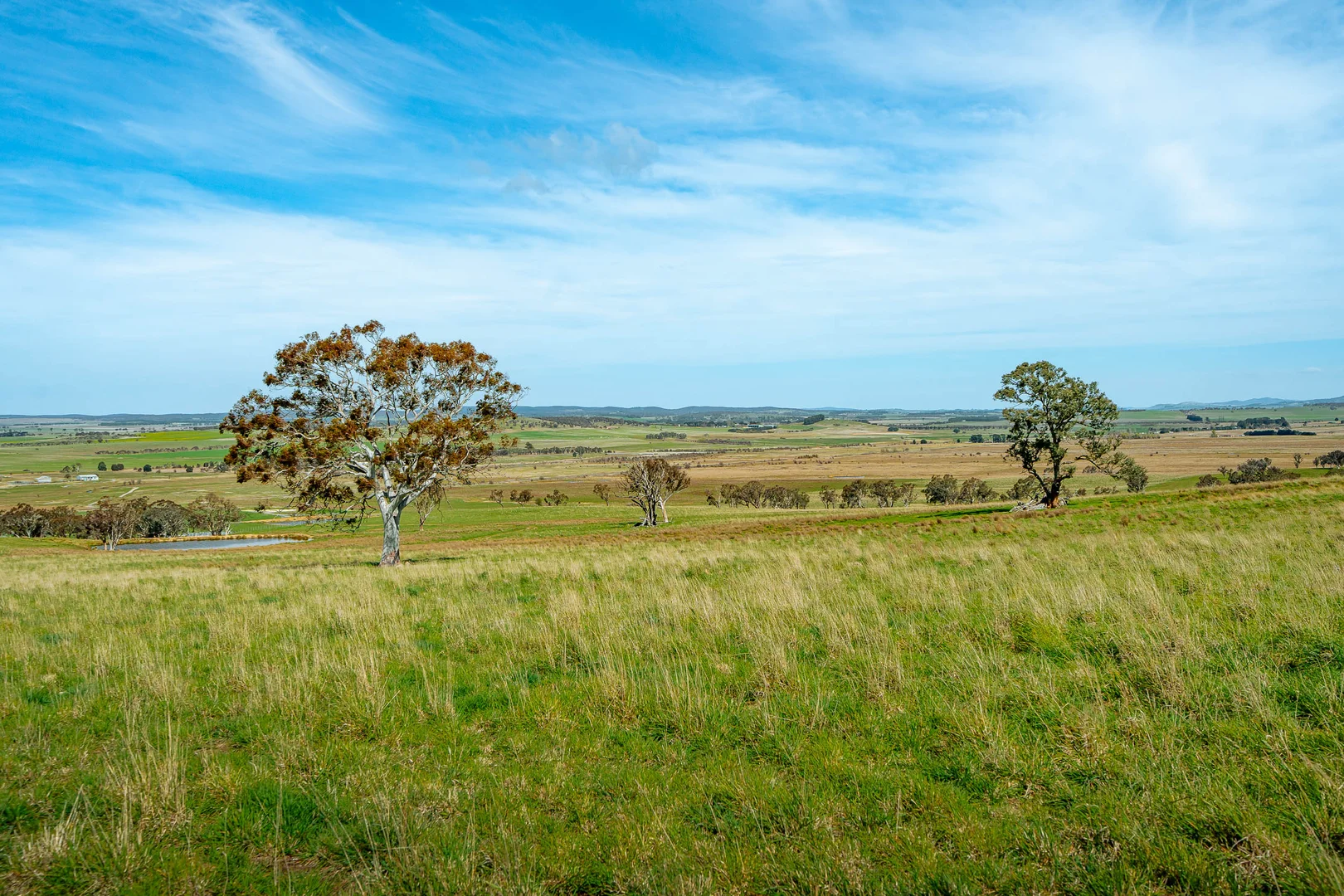 Additional image 11 of 276 Currawang Road, Goulburn NSW 2580