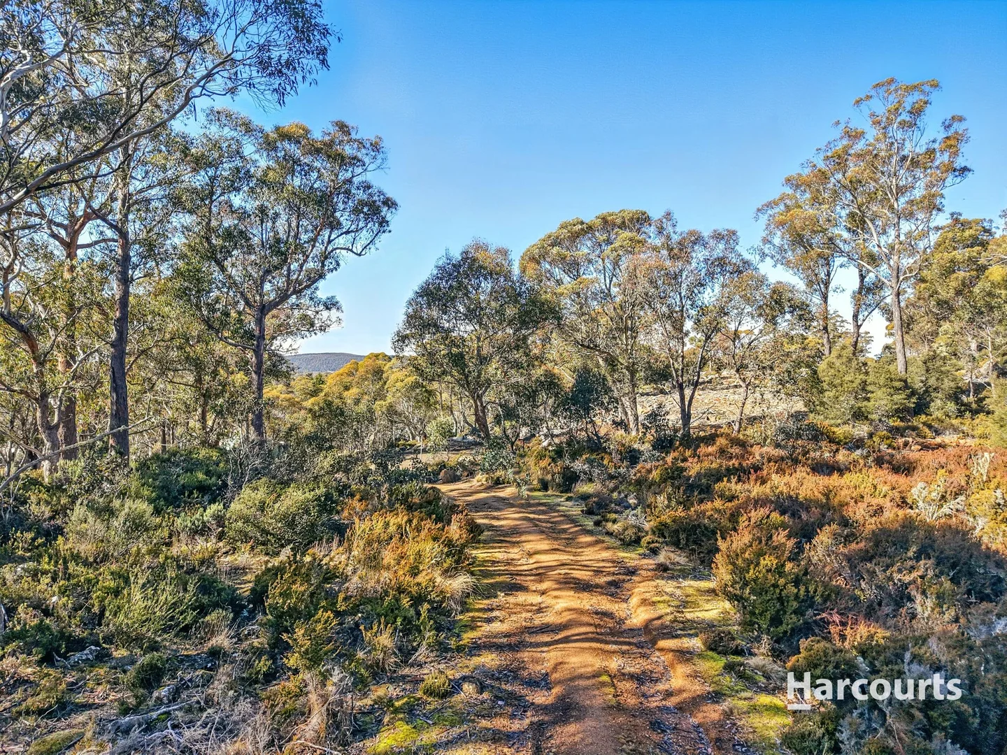 Additional image 20 of Lots 808, 809 & 810 Johnsons Road, Miena TAS 7030