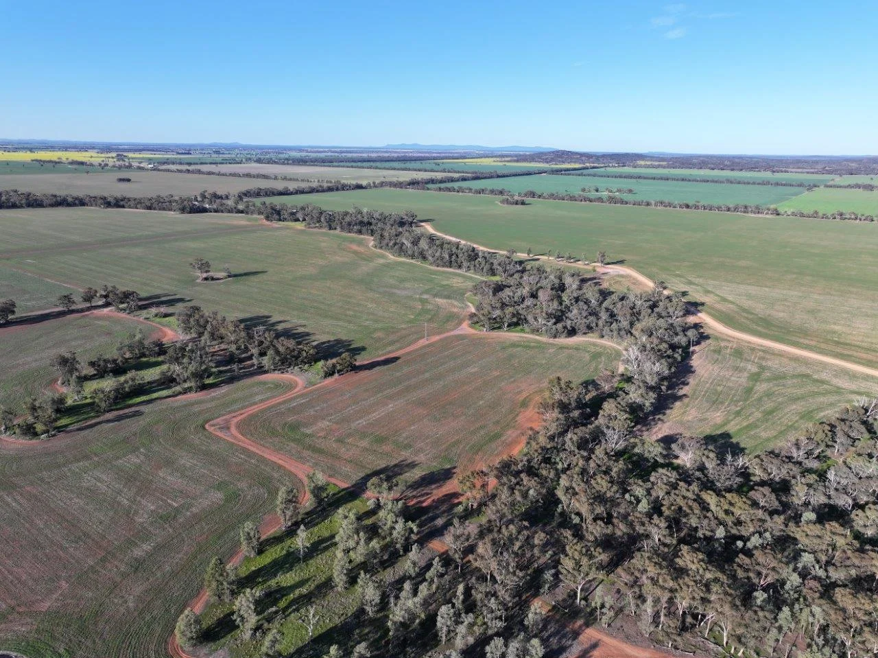 Additional image 13 of Part Westbury Goldfields Way, Barmedman NSW 2668