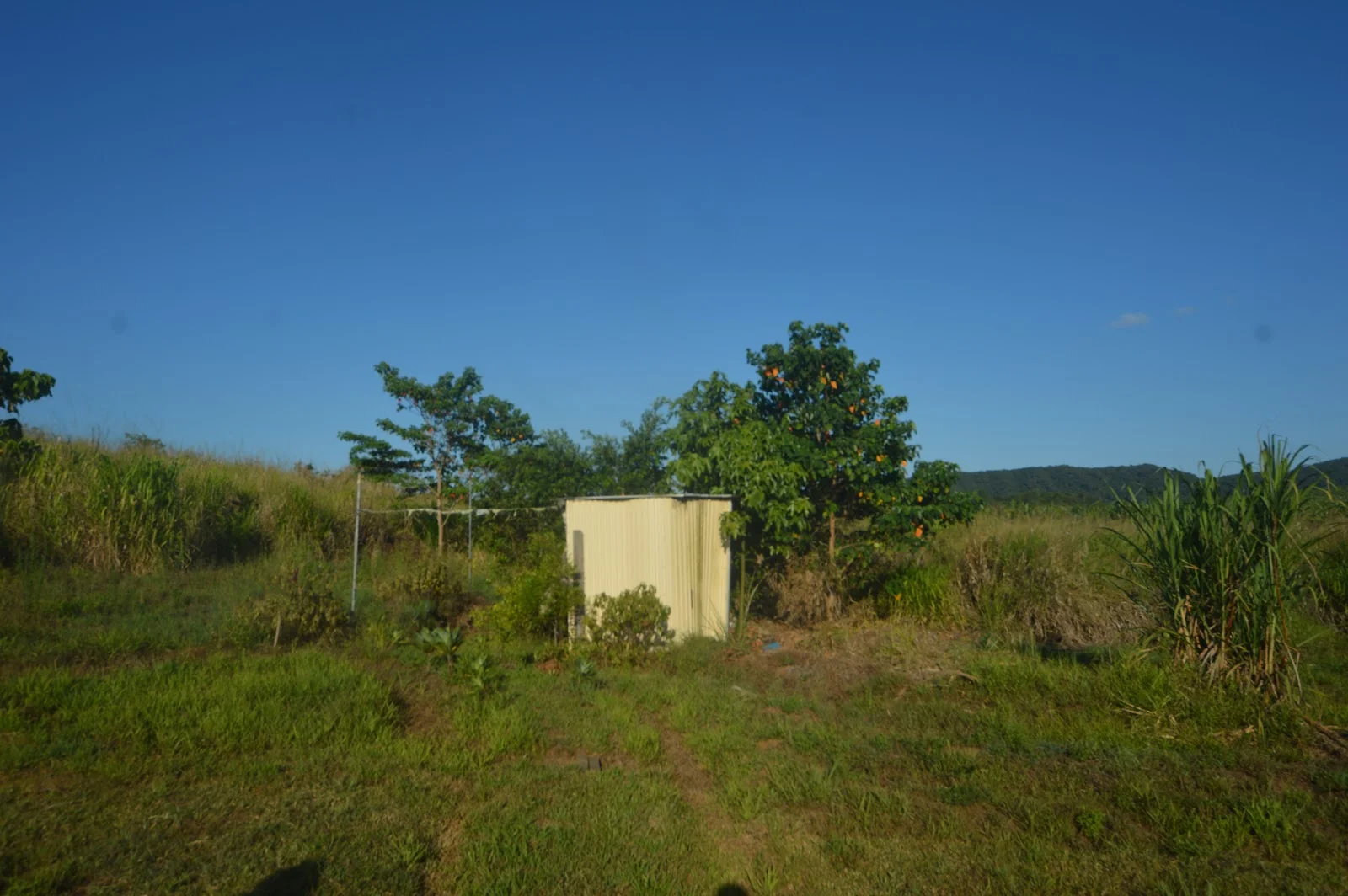 Additional image 18 of 1212 Innisfail Japoon Road, Camp Creek QLD 4871