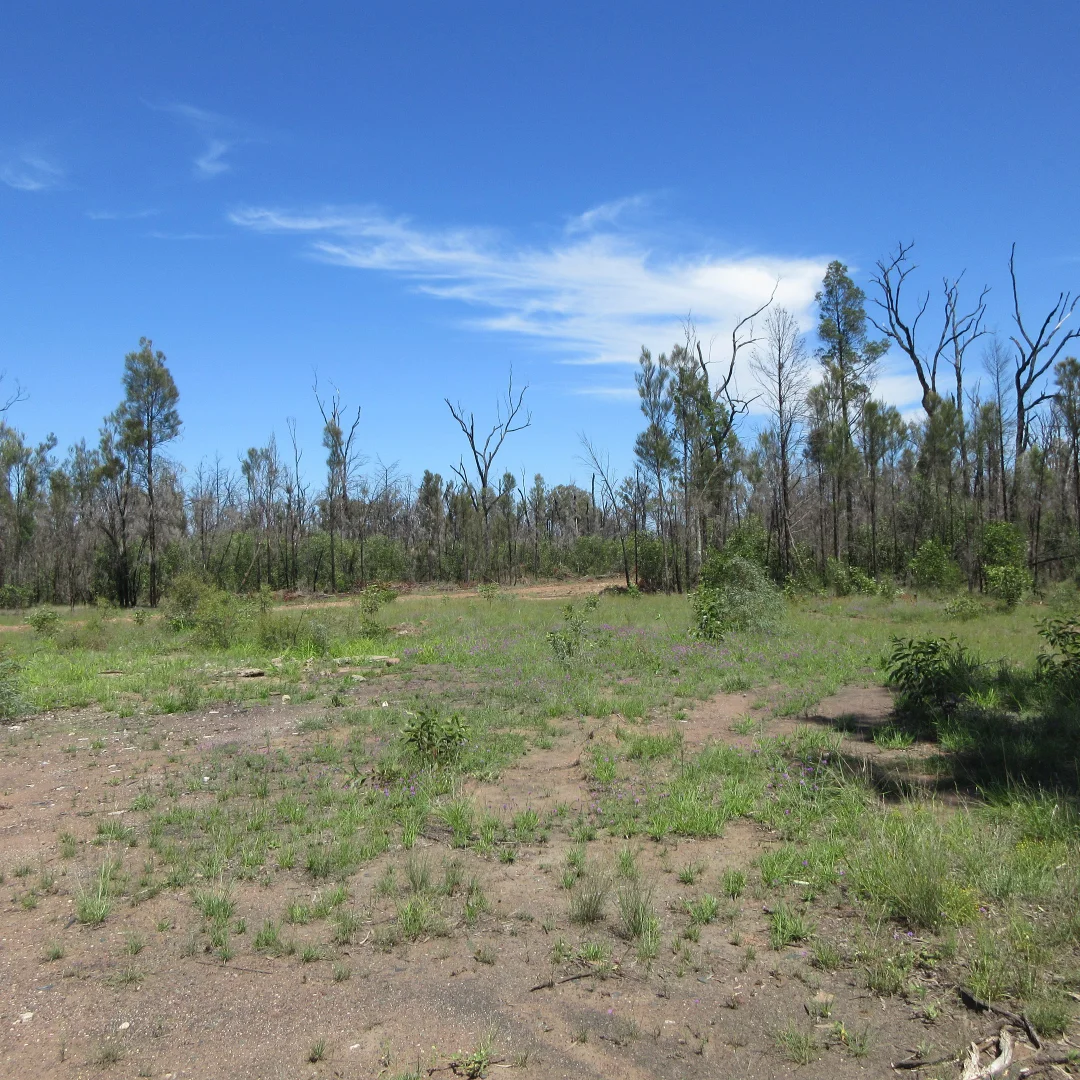 Additional image 3 of #48 Kookaburra Drive, Tara QLD 4421