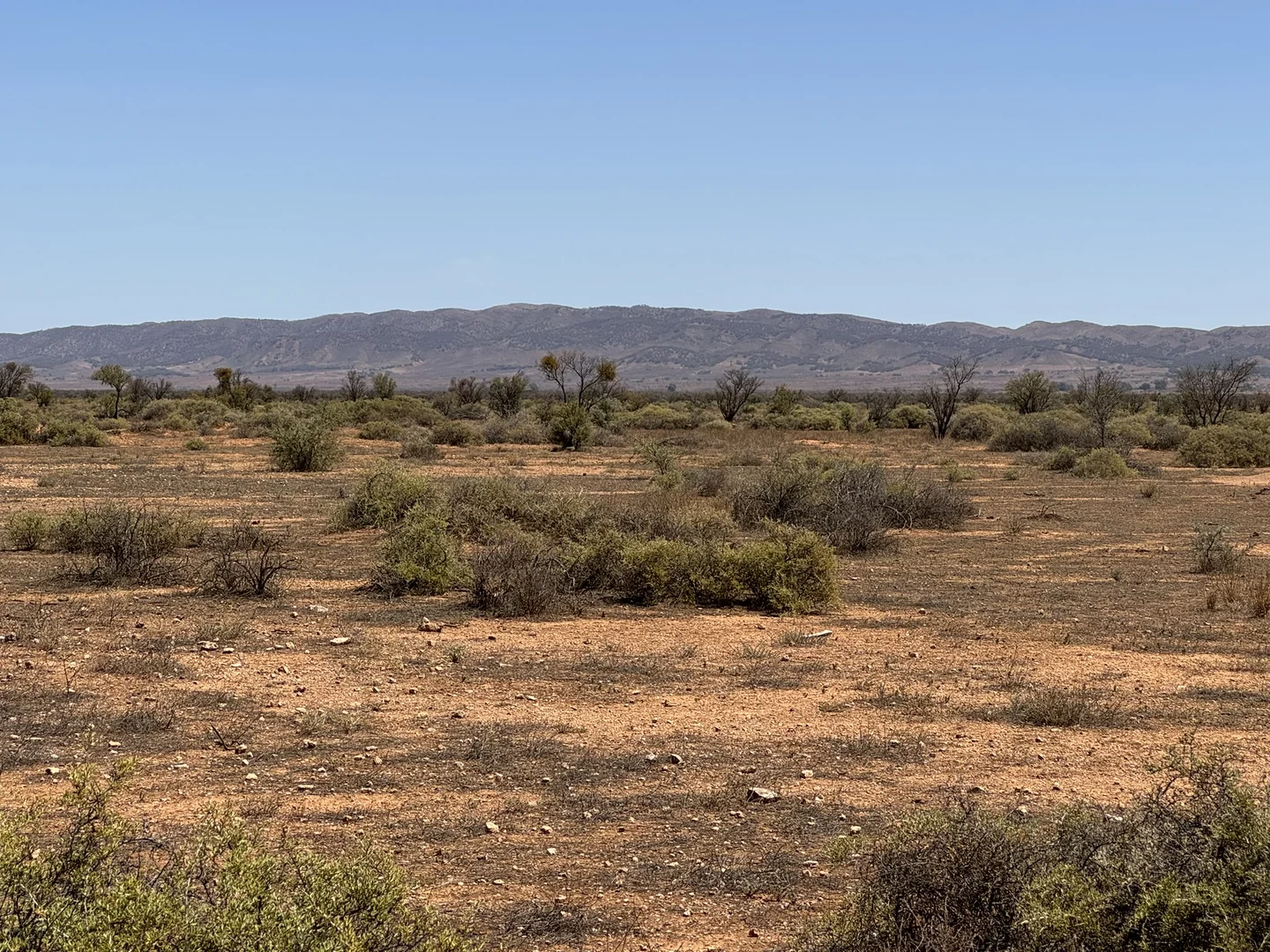 Additional image 25 of Minburra/Lynch Road, Minburra SA 5431