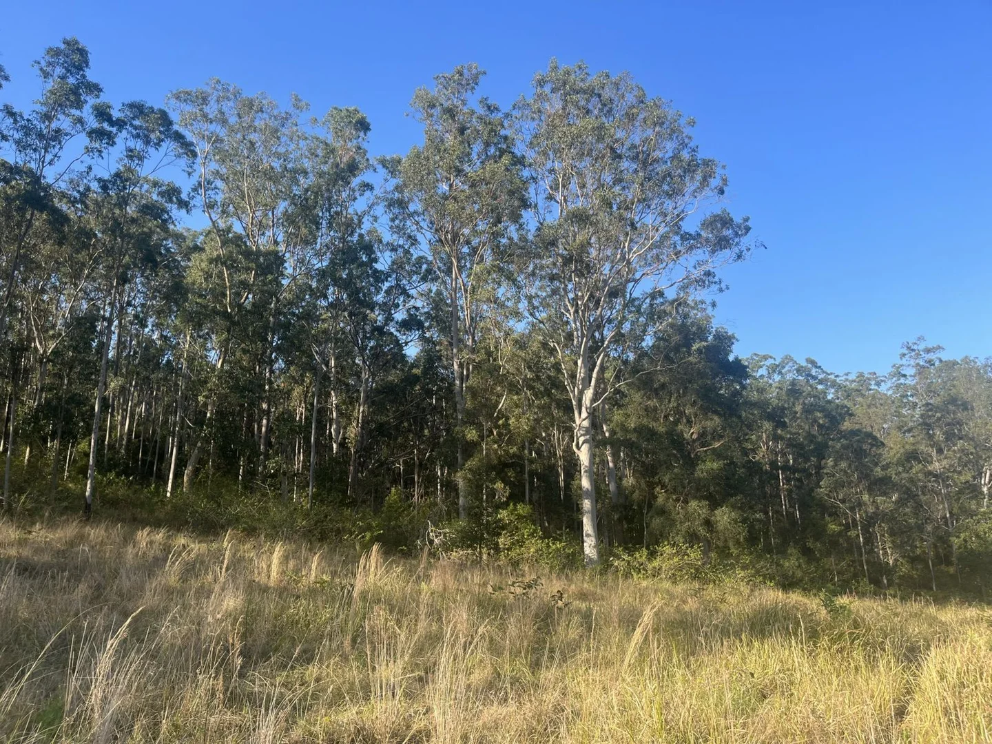Additional image 6 of 2374 Upper Mongogarie Road, Upper Mongogarie NSW 2470