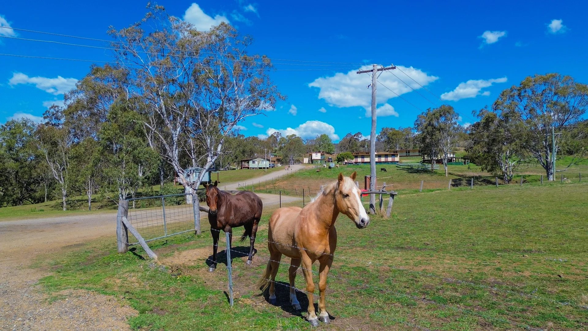 Additional image 4 of 9790 Cunningham Highway, Tregony QLD 4370
