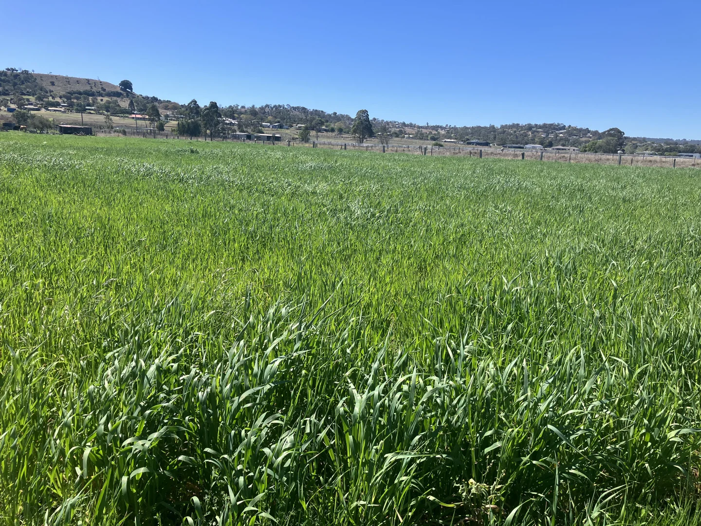 Additional image 15 of 122 Paulsens Road, Gowrie Junction QLD 4352