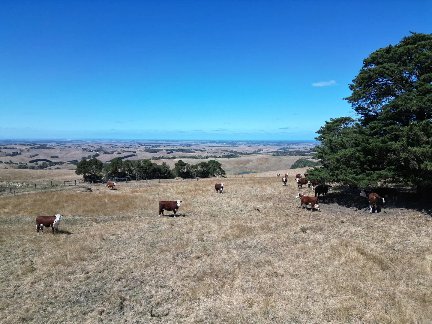 Additional image 25 of 65 McDowell Road, Ryanston VIC 3992