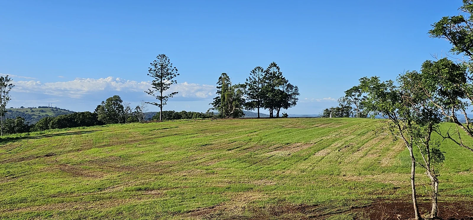 Additional image 18 of Dalwood NSW 2477