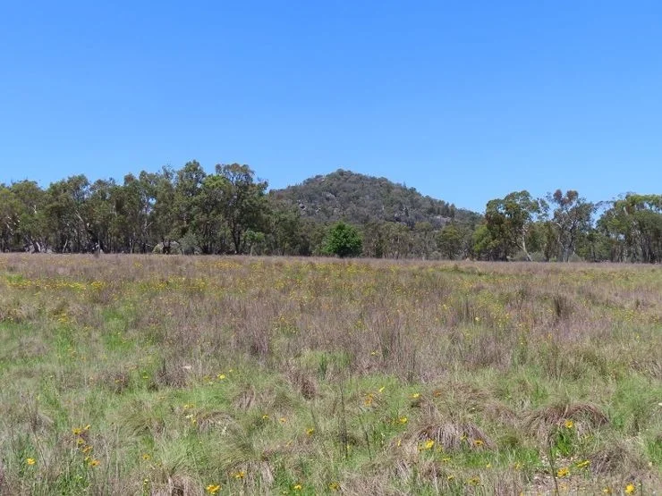 Additional image 7 of Bents Road, Ballandean QLD 4382