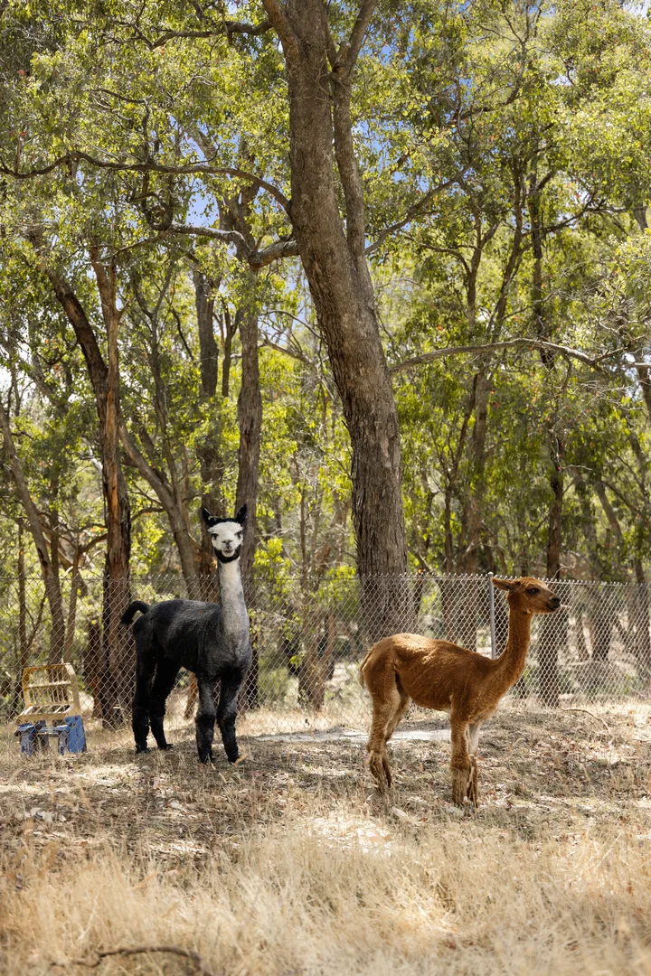 Additional image 28 of 71-79 Knees Road, Park Orchards VIC 3114