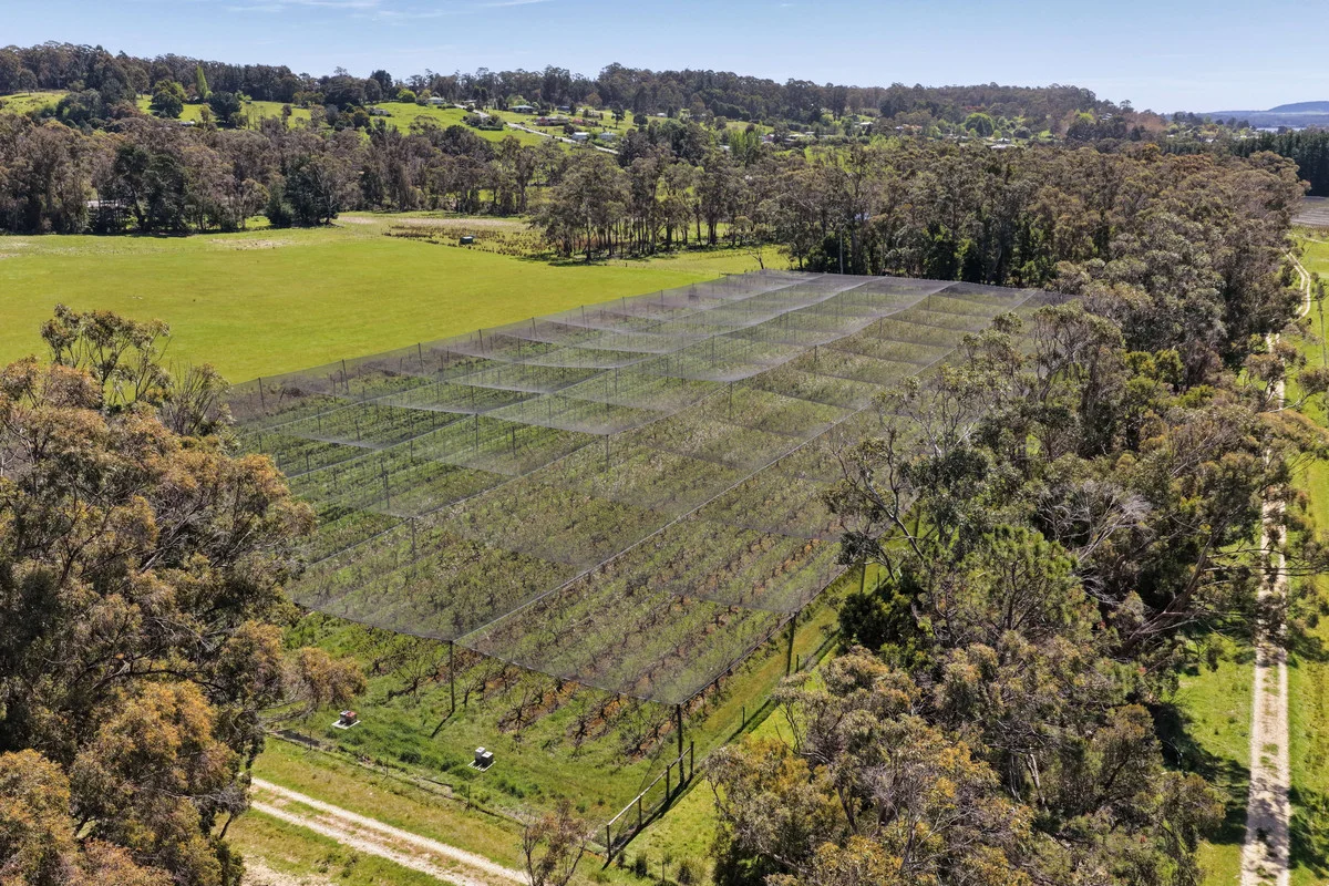 Additional image 7 of 4378 West Tamar Highway, Beauty Point TAS 7270