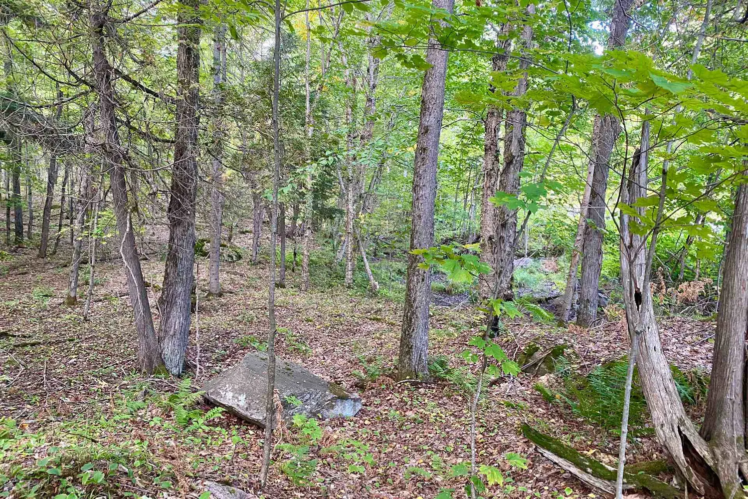 Additional image 7 of 0 Clear Lake Road