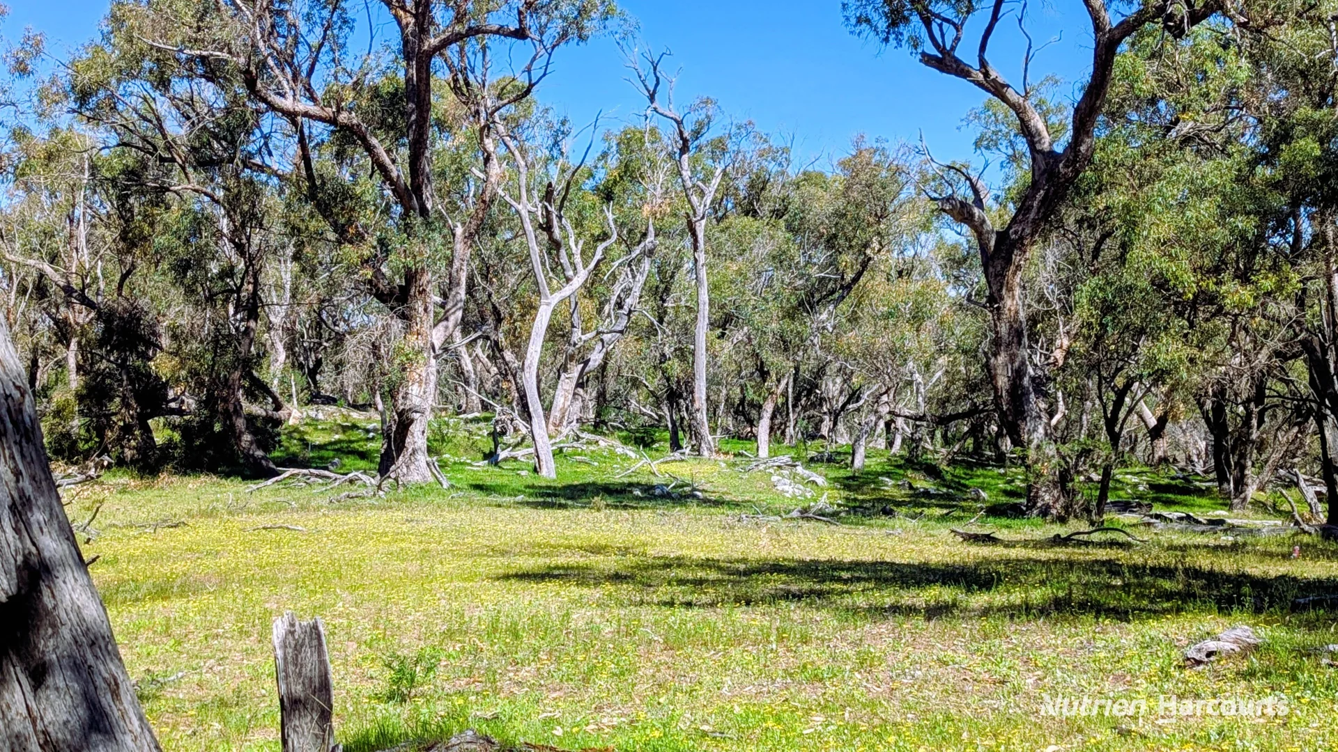 Additional image 24 of Lot 51 Millbank Road, Cowalla WA 6503