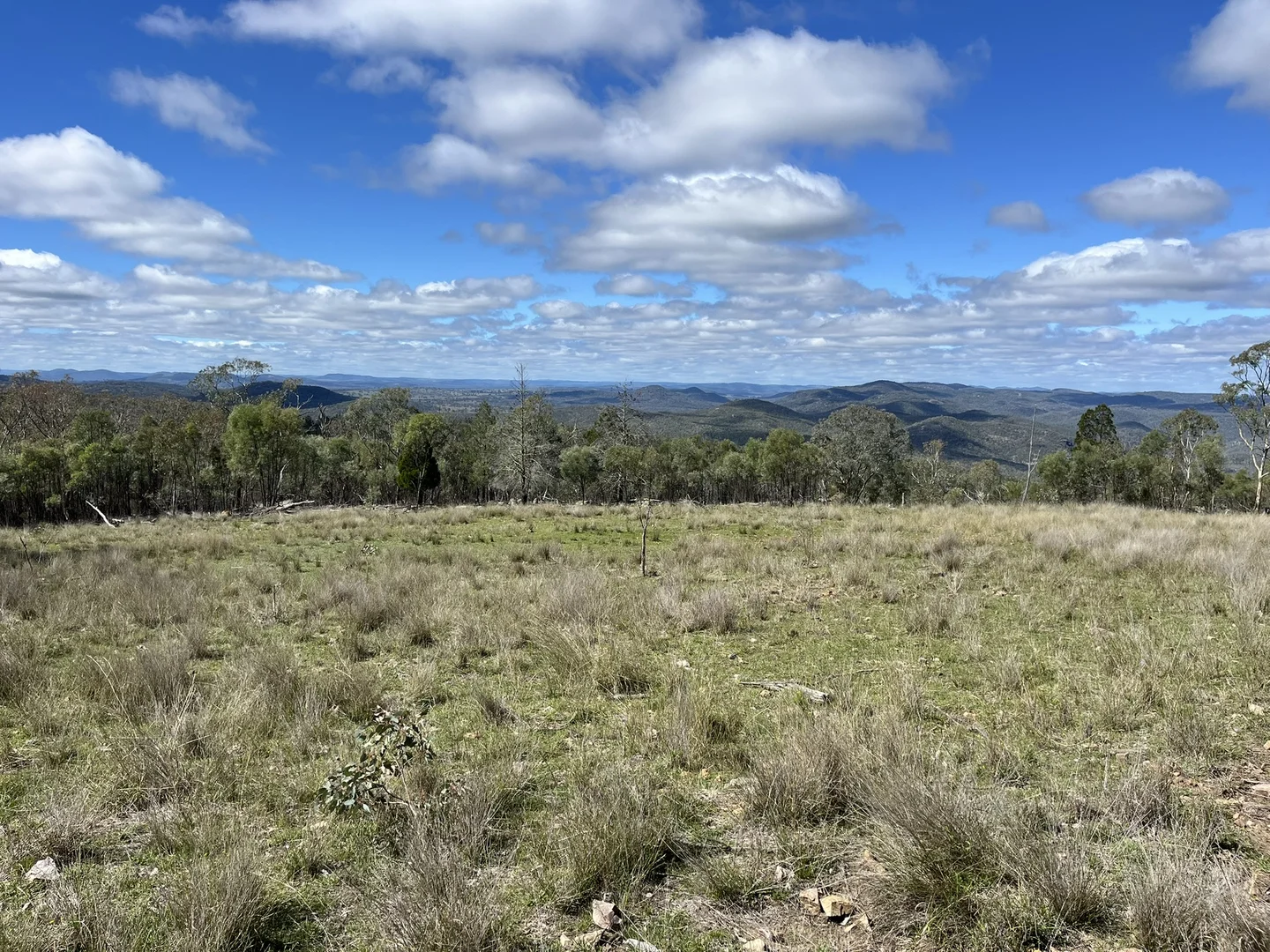 Additional image 20 of Pretty Gully Bendemeer Road, Kingstown NSW 2358