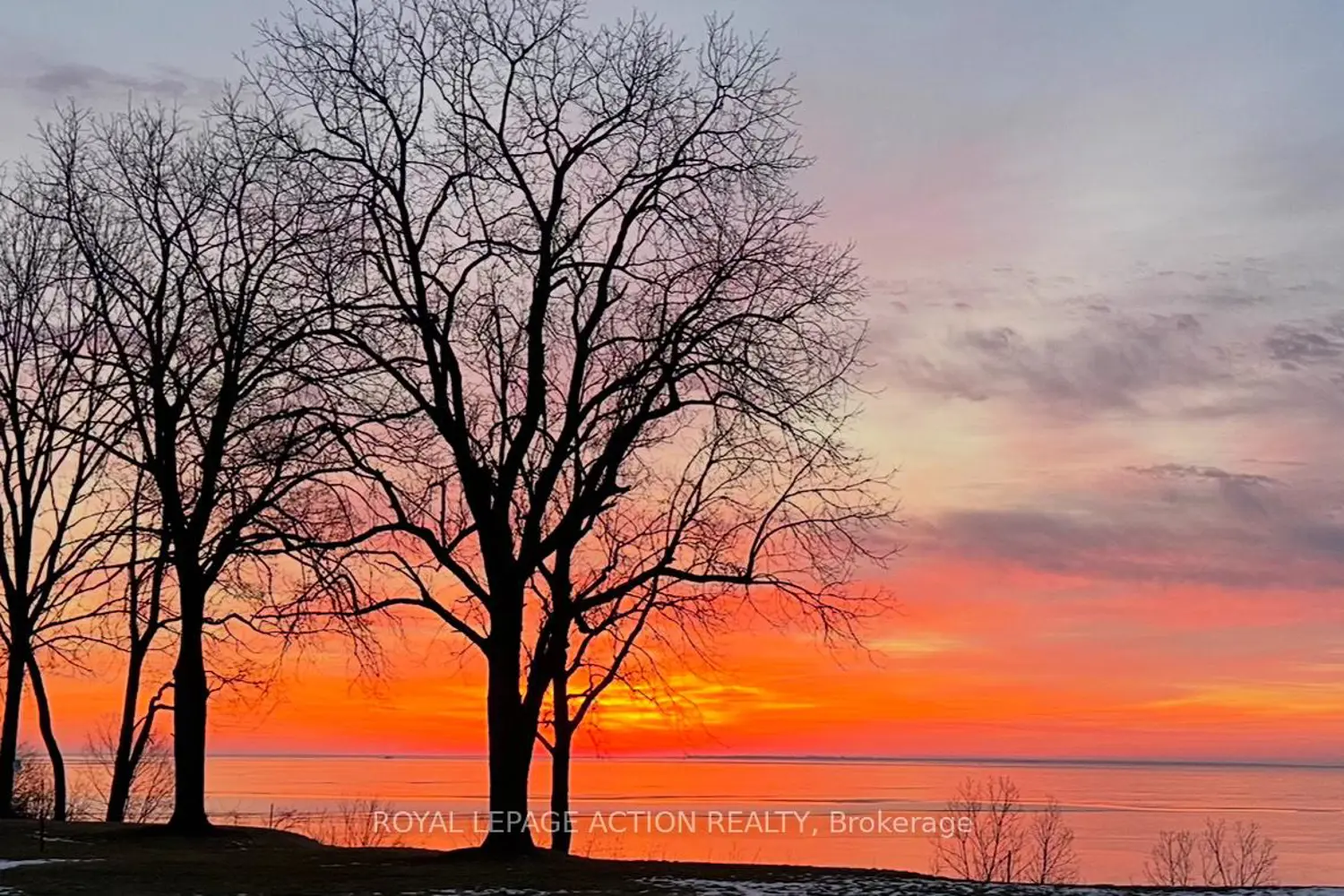 Additional image 3 of 13 Black Walnut Drive