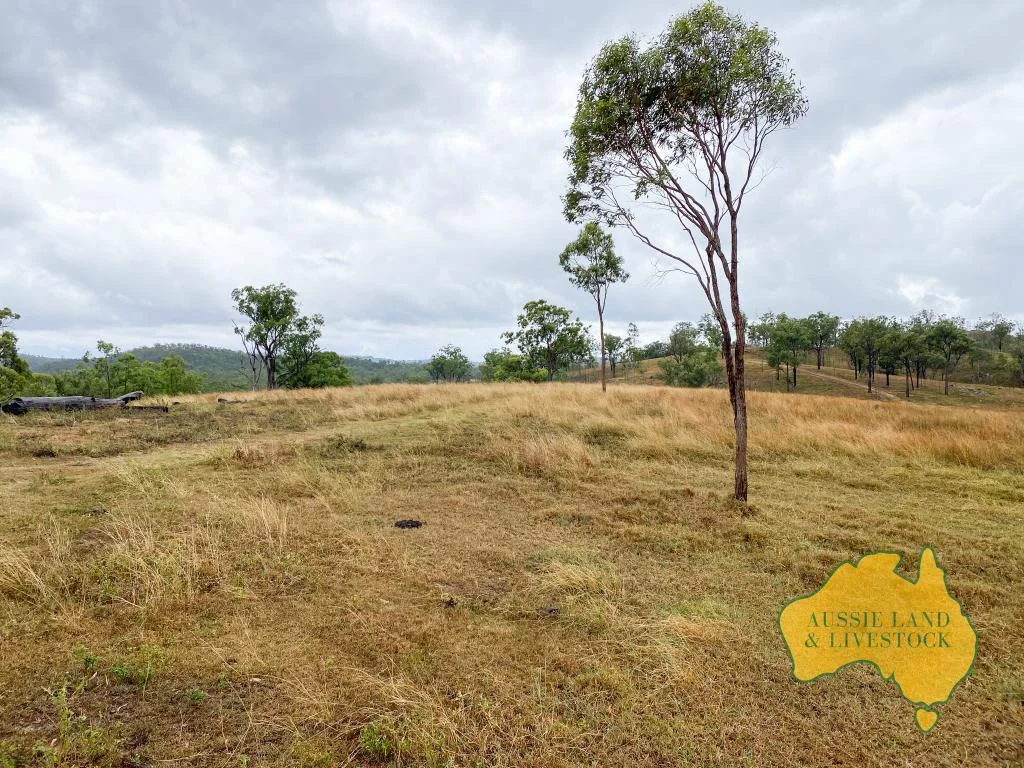 Additional image 23 of 59 MUNGY ROAD, Mungy QLD 4671