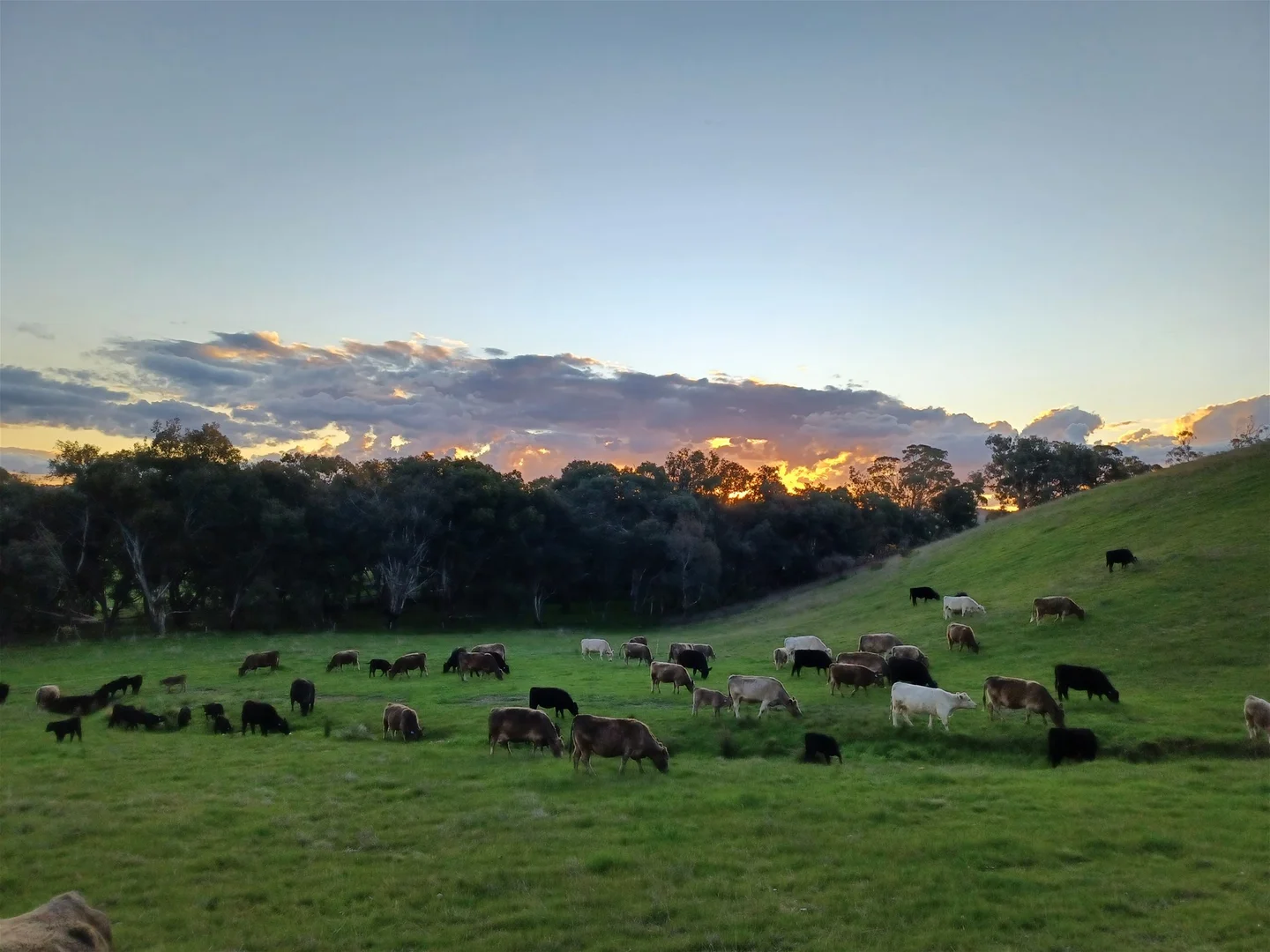 Additional image 28 of 3924 Hume Highway, Tarcutta NSW 2652