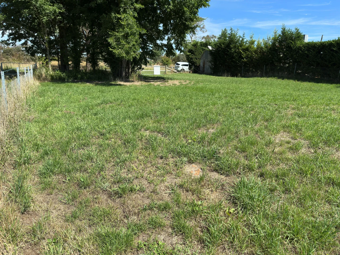 Additional image 9 of 11 Martyn Street, Taralga NSW 2580