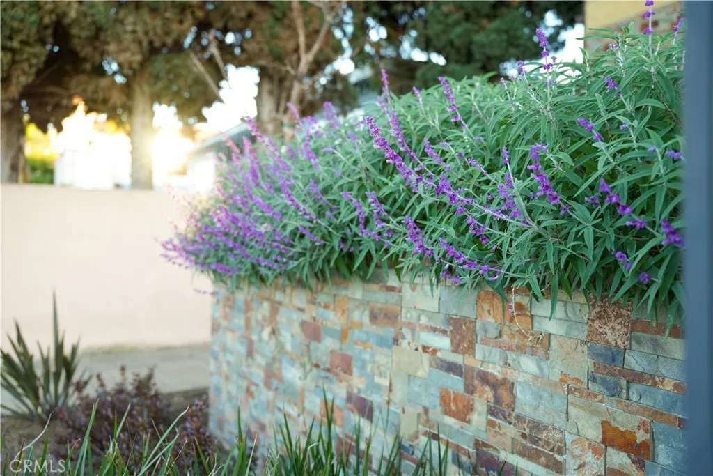 Additional image 7 of 26007 Marjan Pl, Harbor City, CA 90710