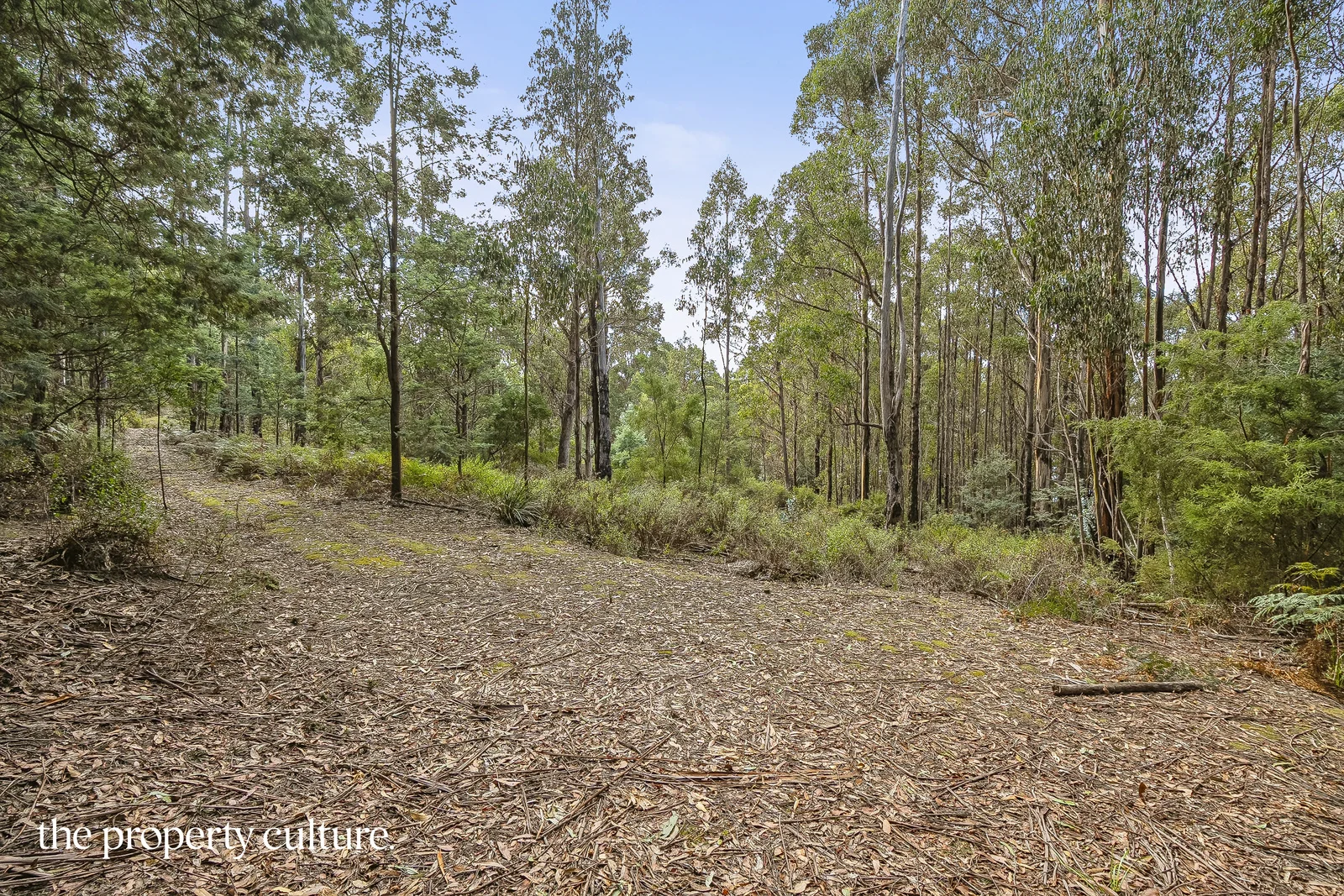 Additional image 17 of 2 Heriots Rise, Franklin TAS 7113