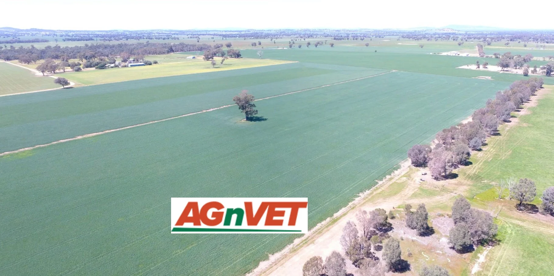 0 Olympic Highway, Henty NSW 2658