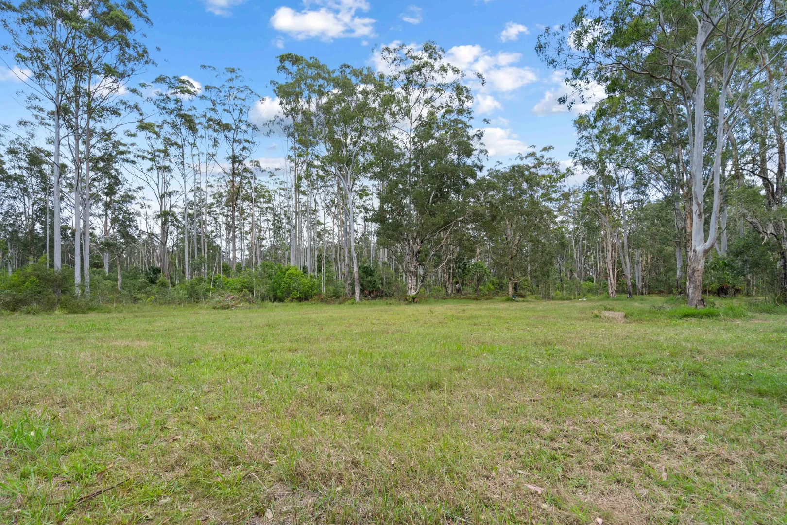 Additional image 3 of 279 Elliots Road, Nabiac NSW 2312