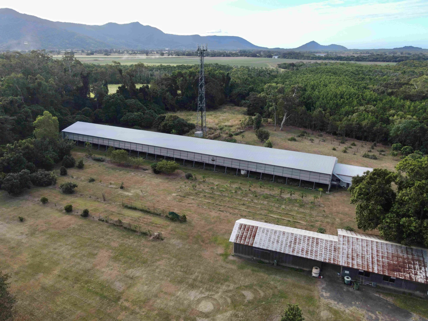 Additional image 9 of 412R Kamerunga Road, Stratford QLD 4870