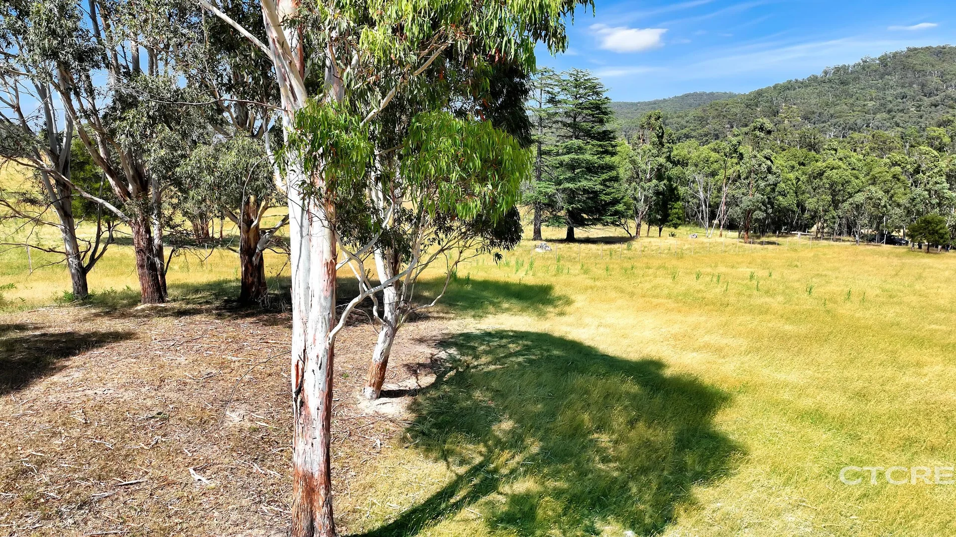 Additional image 4 of 3022 Benambra - Corryong Road, Benambra VIC 3900