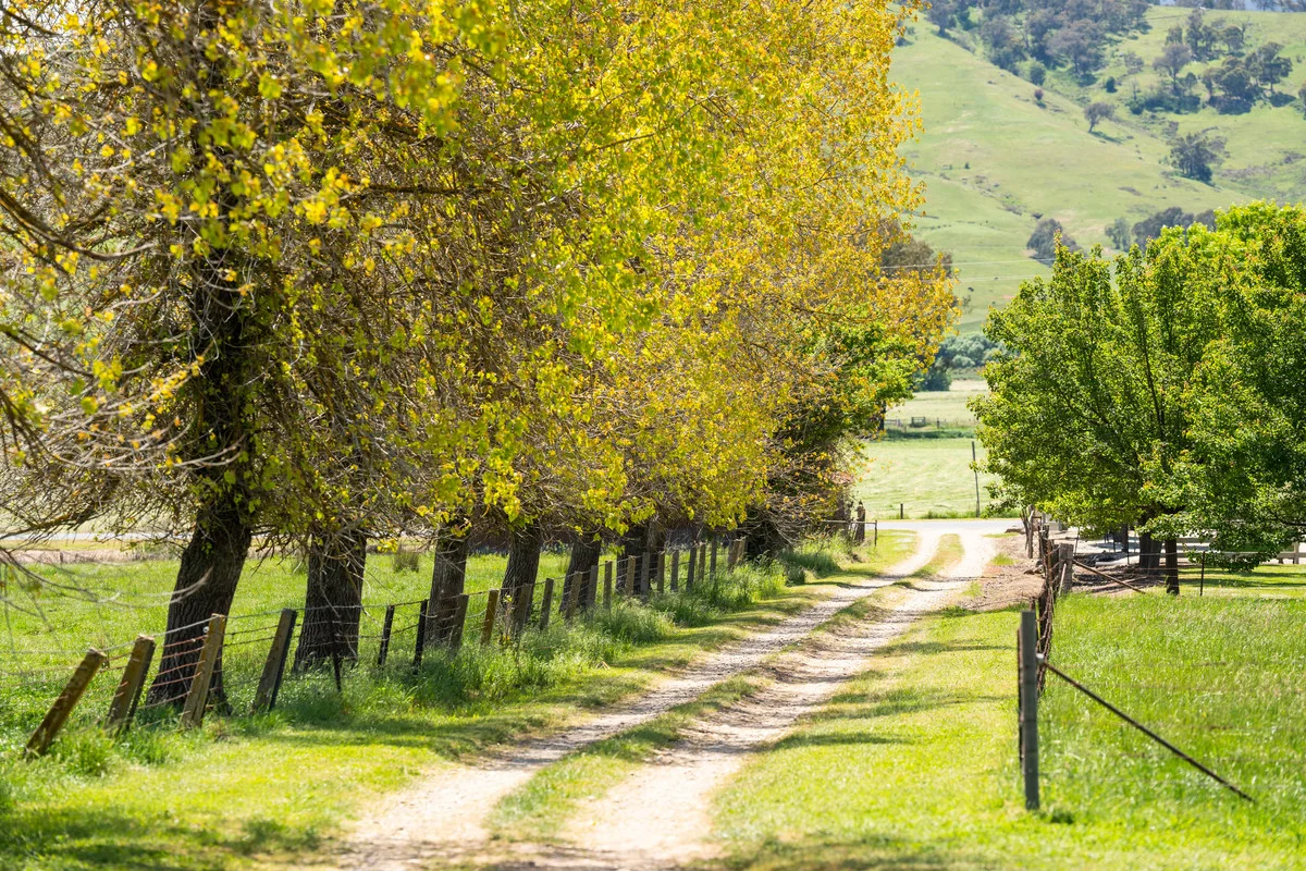 Additional image 23 of 4320 Kiewa Valley Highway, Dederang VIC 3691