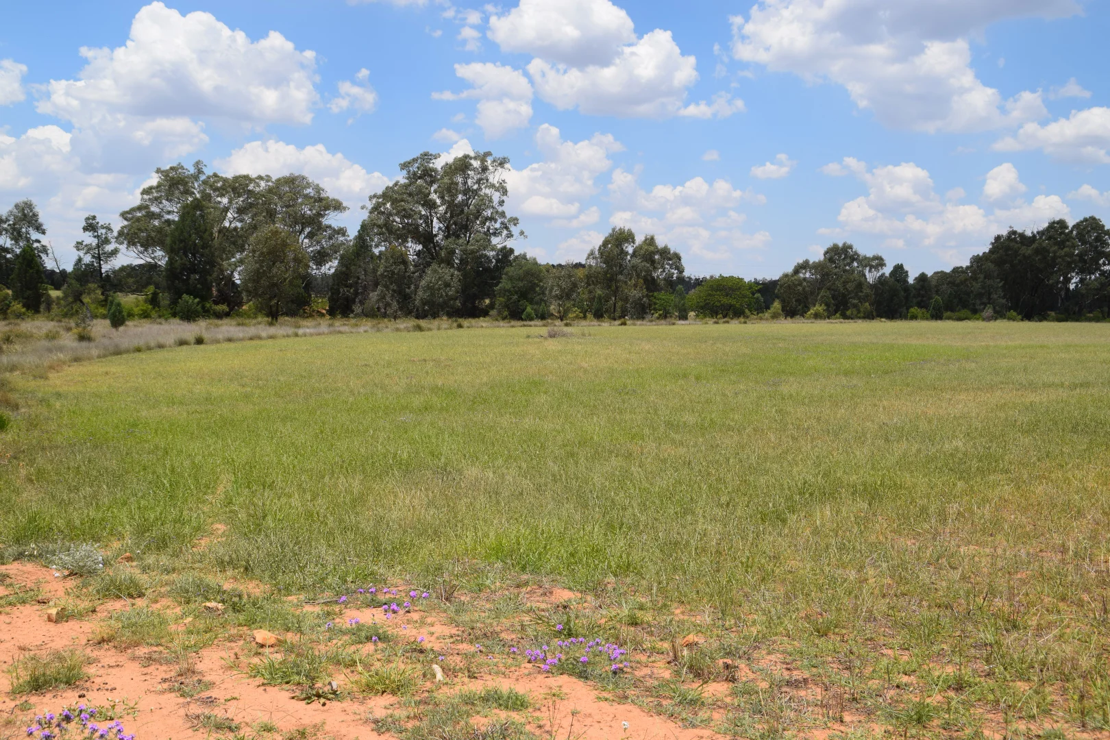 Additional image 30 of 'Illapa' 238L Narromine Road, Dubbo NSW 2830