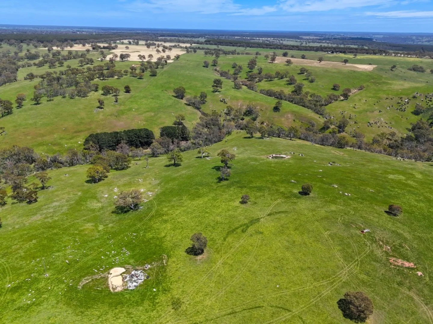 Additional image 20 of 3593 Nareen Road, Culla VIC 3315