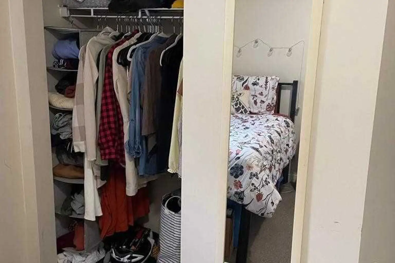 Additional image 12 of 261 Lester Street 101