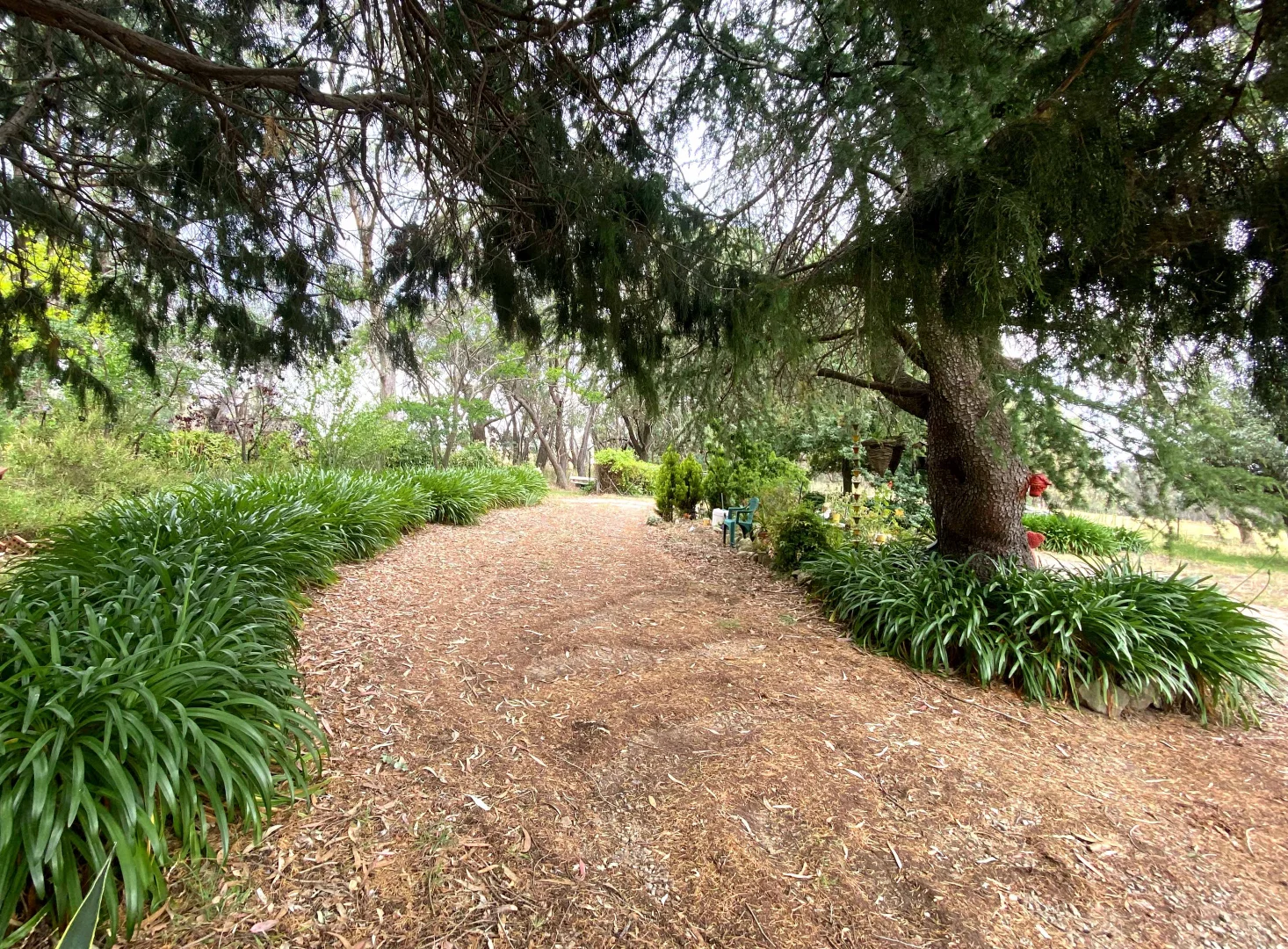 Additional image 5 of "Abbyville" 90 Convent Lane, Borenore NSW 2800