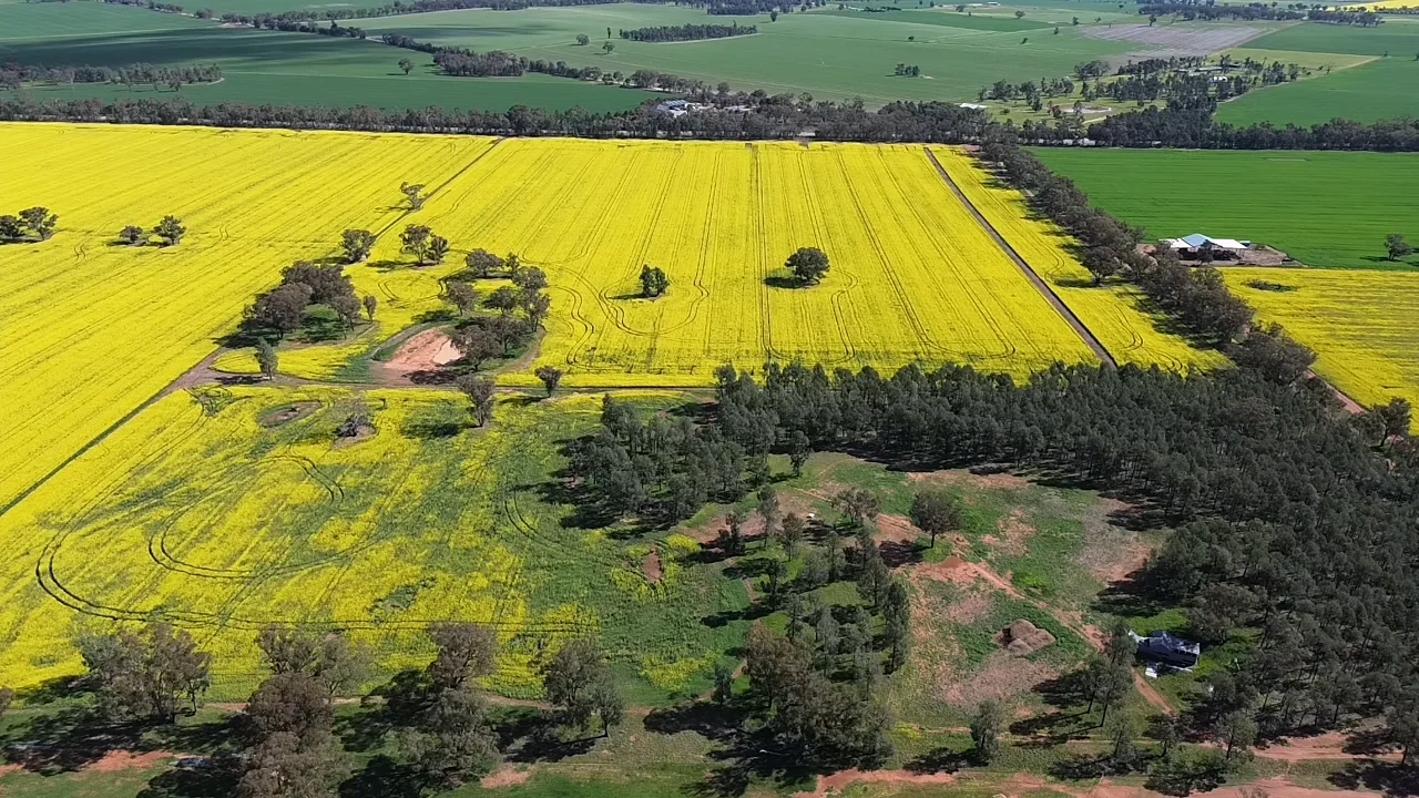 Additional image 2 of 2 Coolamon Road, Coolamon NSW 2701