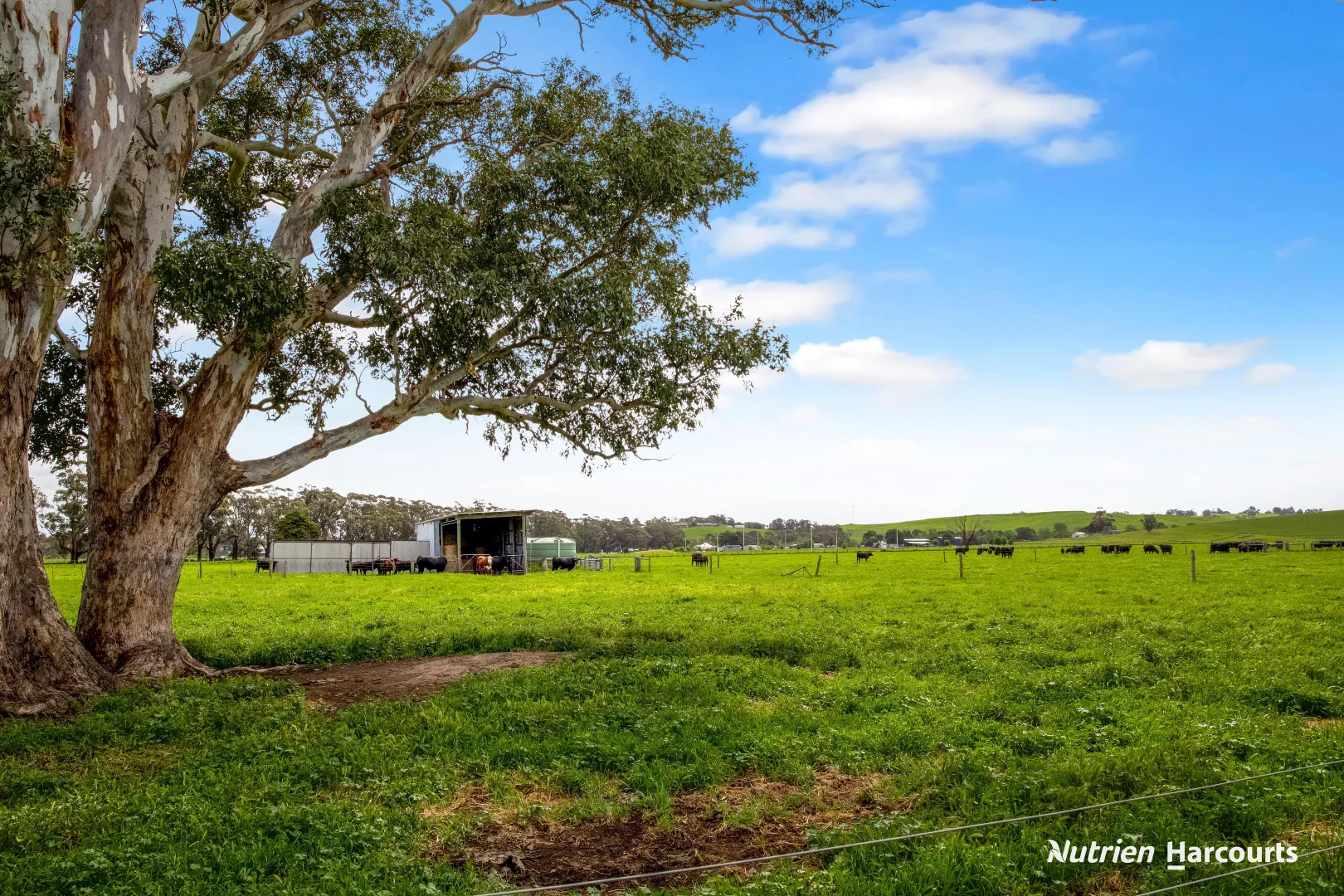 Additional image 21 of 25 Mackwood Lane, Casterton VIC 3311