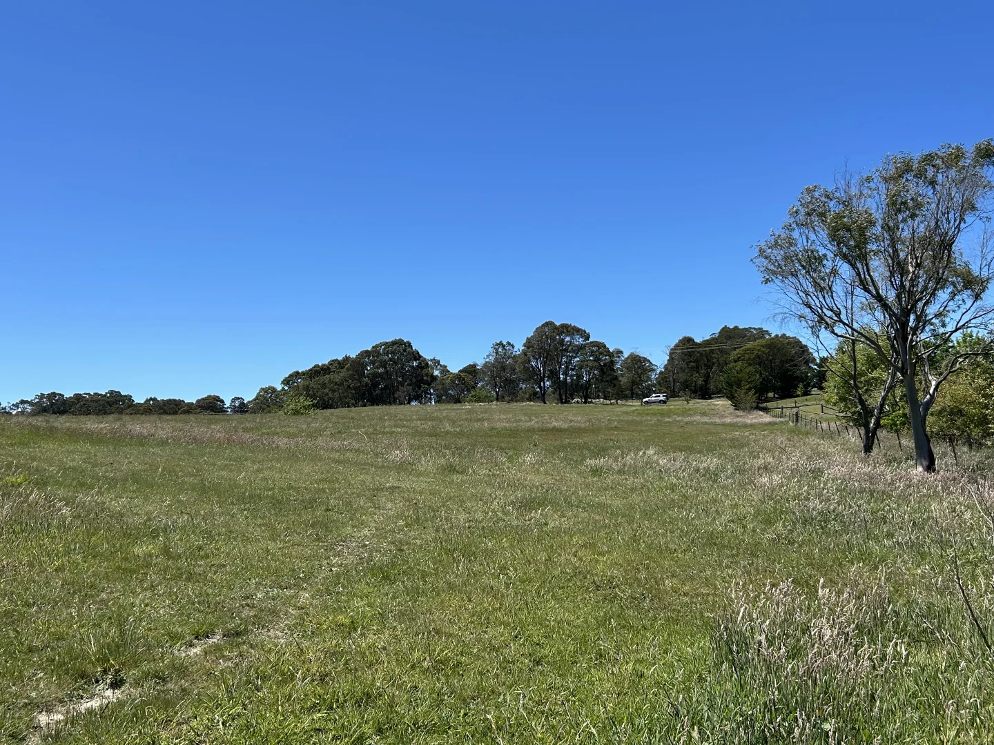 Additional image 15 of 1202 Majors Creek Road, Majors Creek NSW 2622