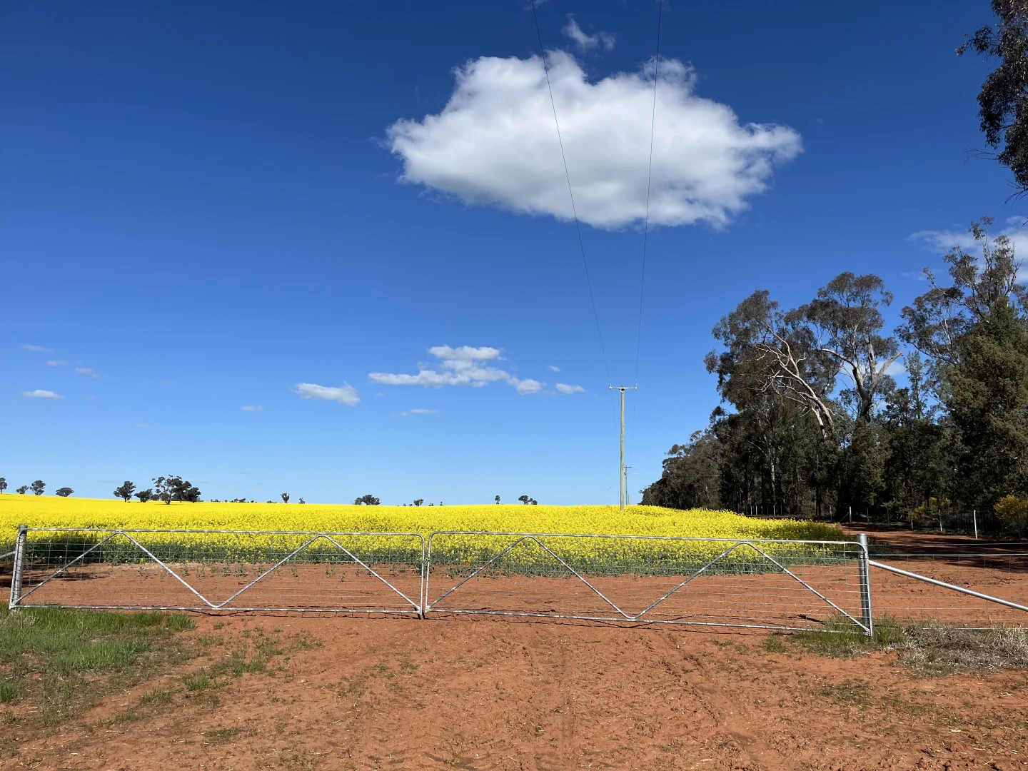 Additional image 10 of 2 Coolamon Road, Coolamon NSW 2701
