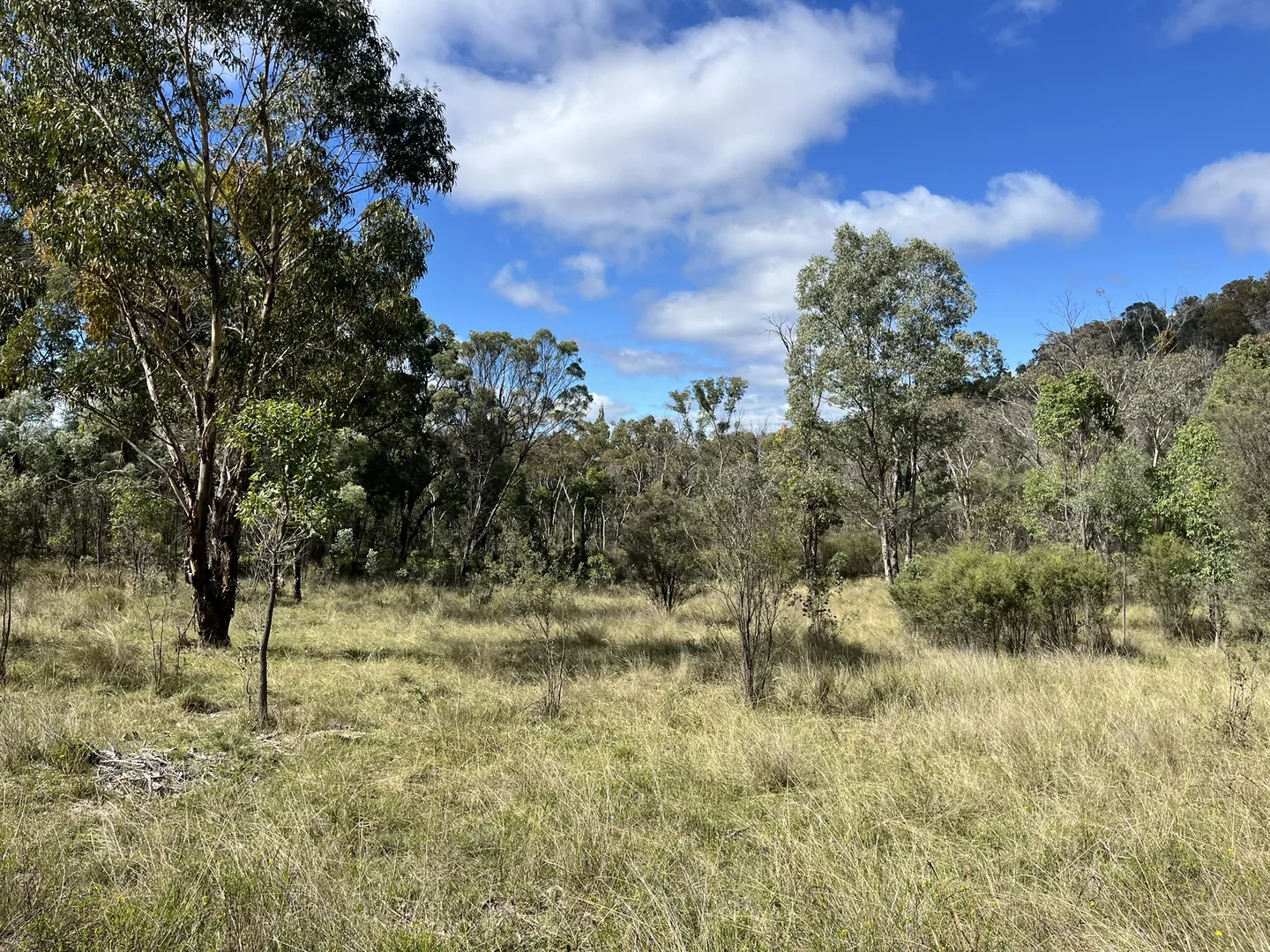 Additional image 10 of Pretty Gully Bendemeer Road, Kingstown NSW 2358