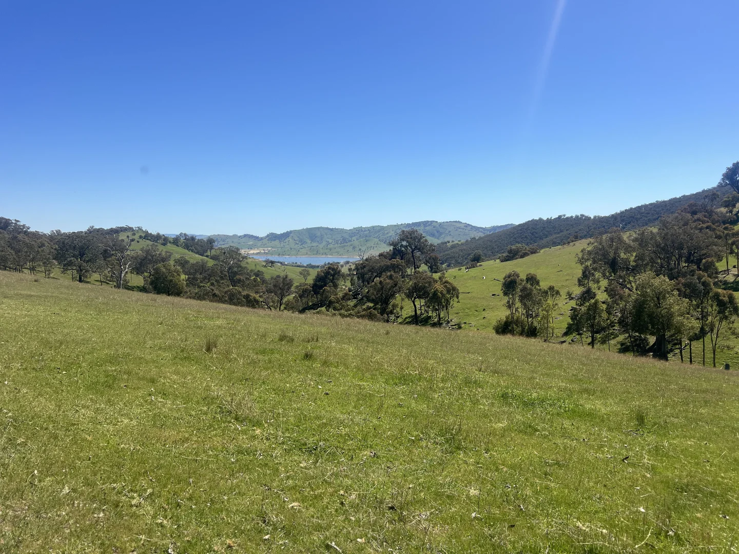 Additional image 7 of 557 Georges Creek Road, Talgarno VIC 3691