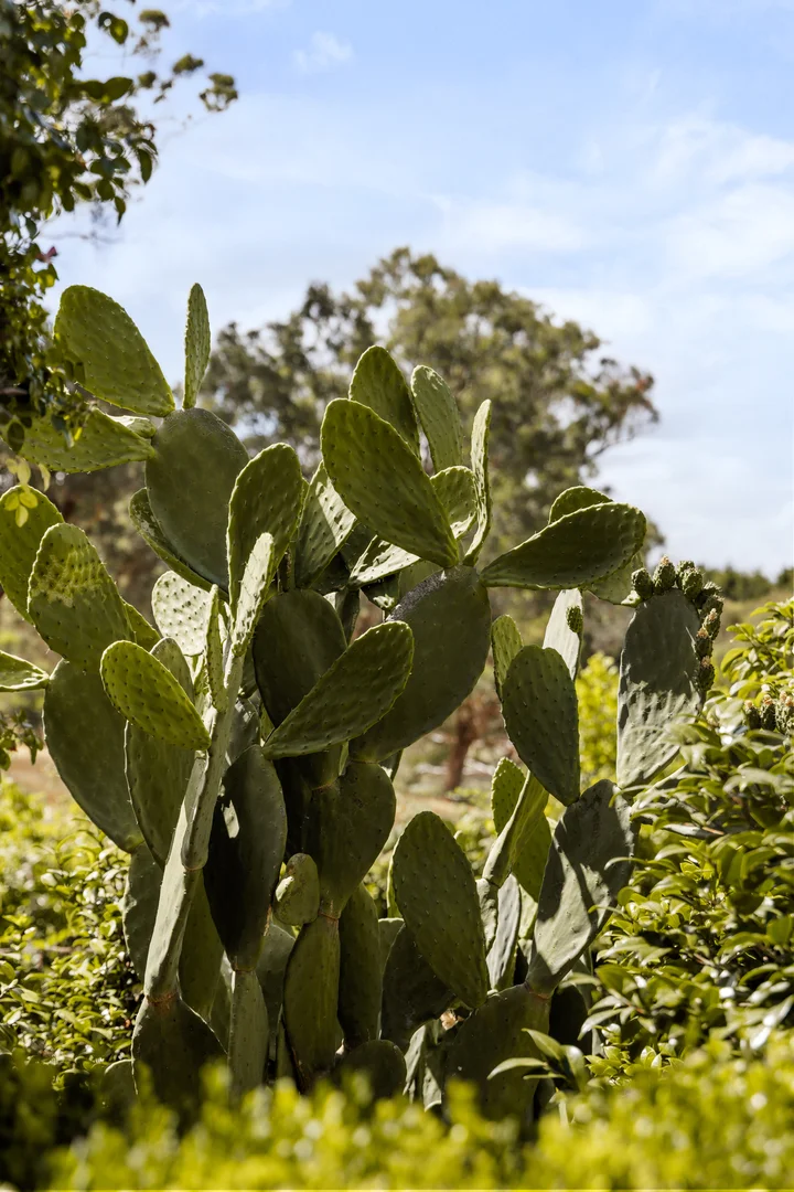 Additional image 25 of 71-79 Knees Road, Park Orchards VIC 3114