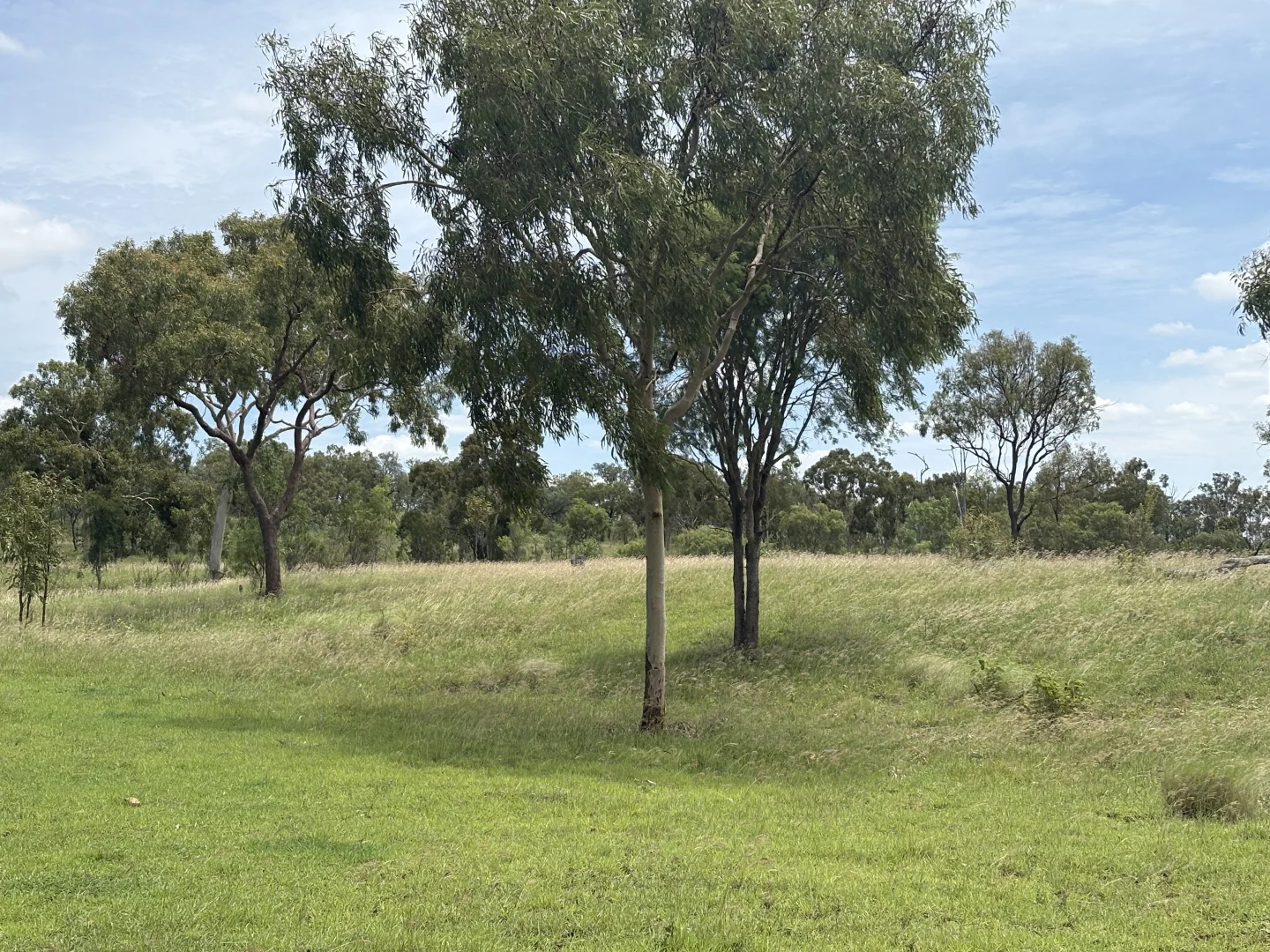 Additional image 16 of 0 Pipeline Road, Nine Mile QLD 4702