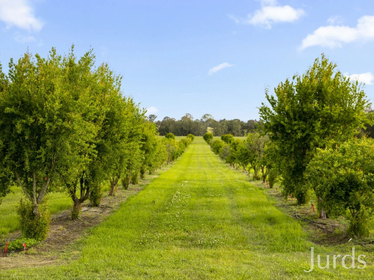 Additional image 43 of 307 Talga Road, Lovedale NSW 2325