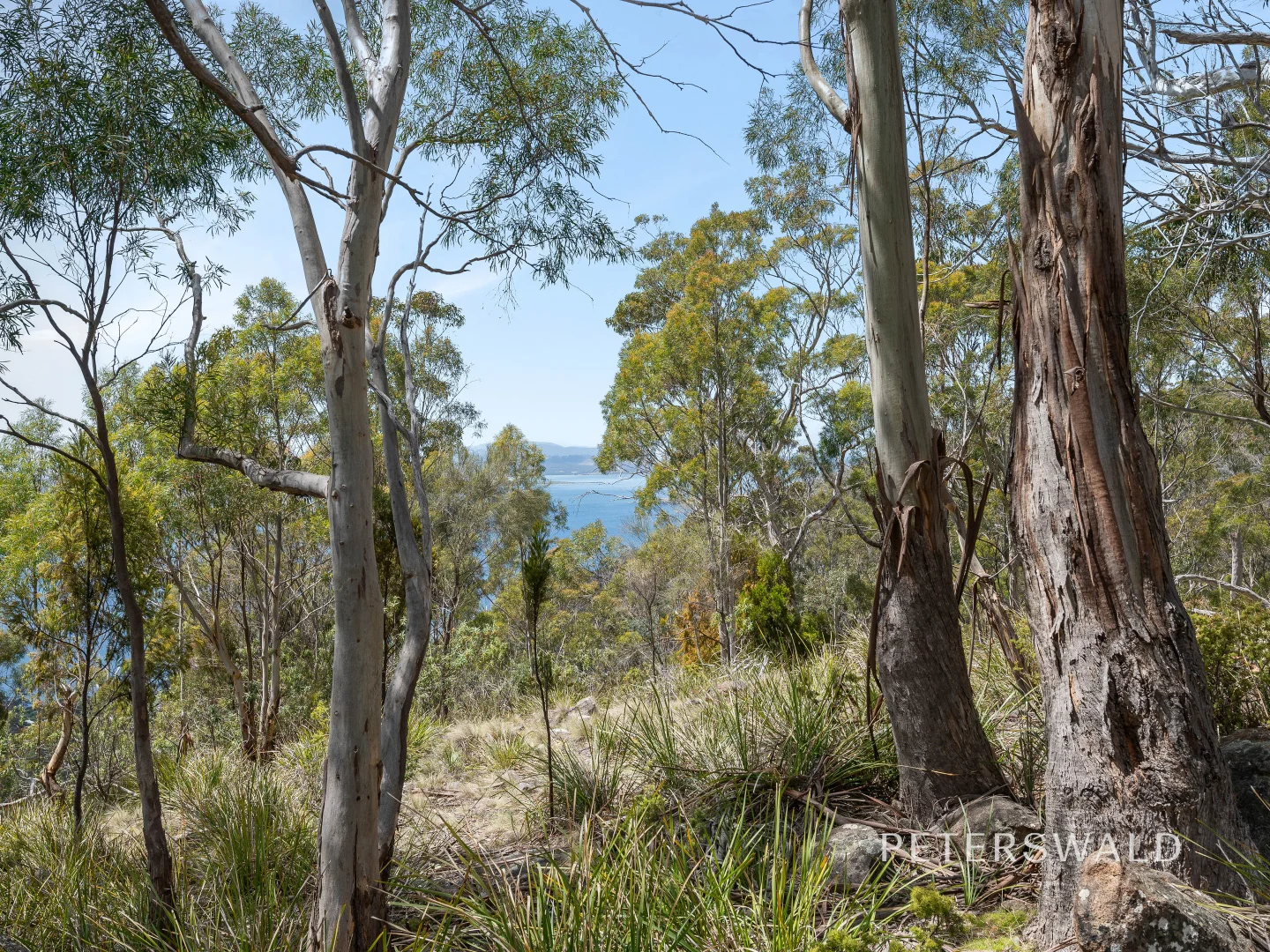 Additional image 14 of 626 Nelson Road, Mount Nelson TAS 7007