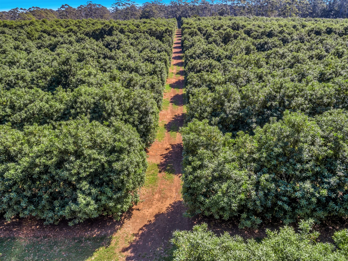 Additional image 3 of Pacific Highway, Eungai Creek NSW 2441