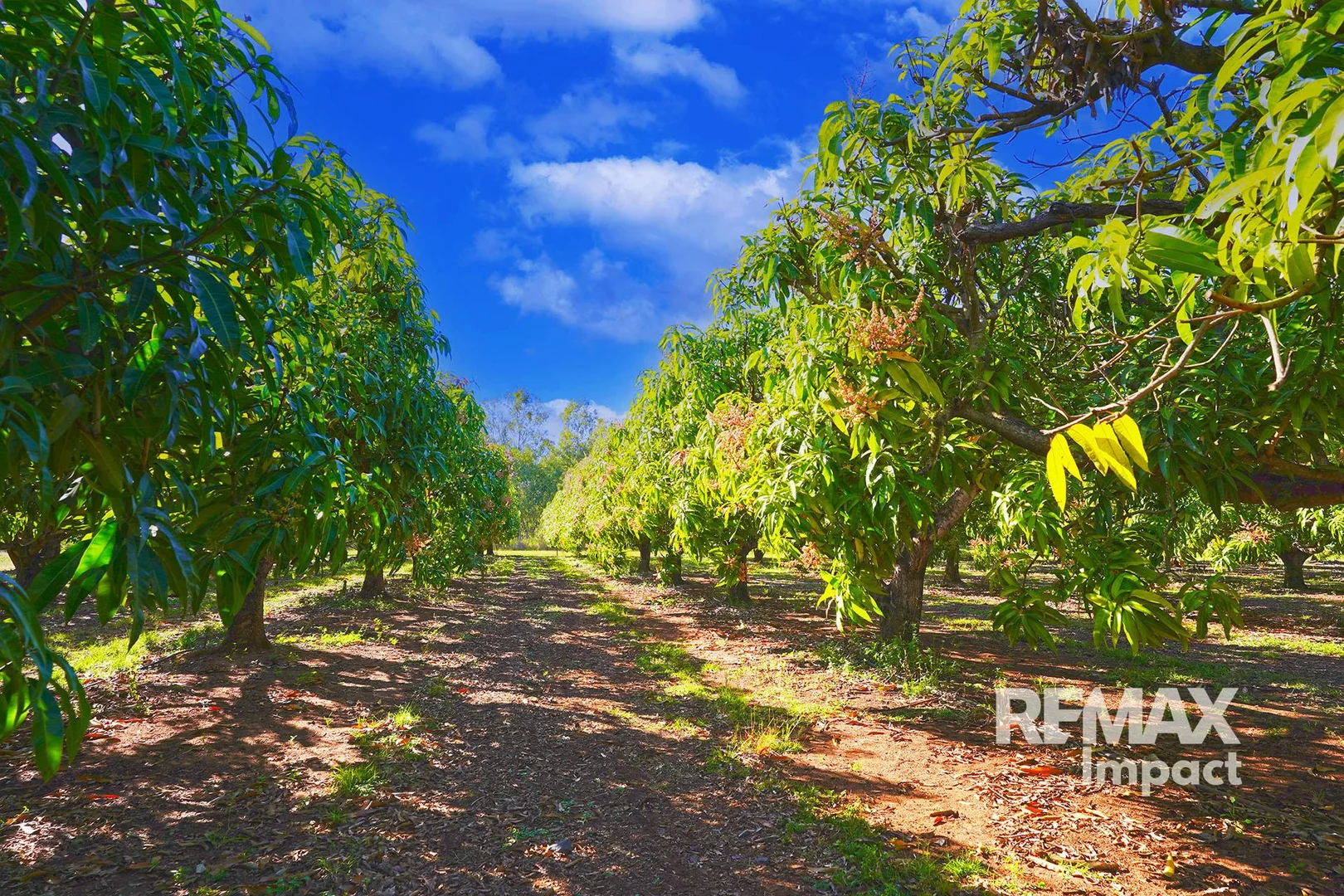 Additional image 6 of 446 Chewko Road, Mareeba QLD 4880